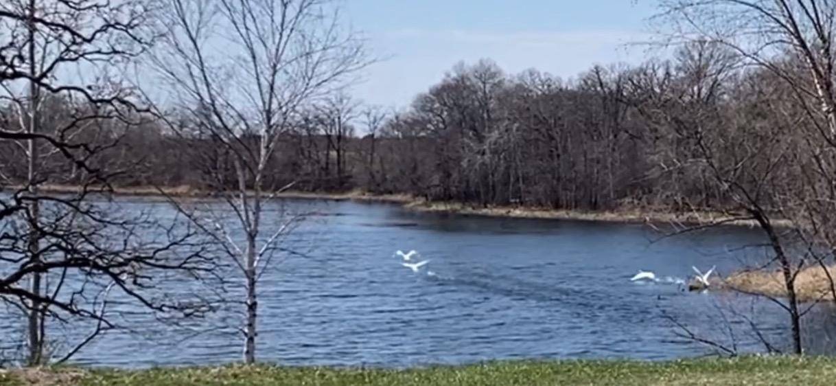 Star Prairie, WI 54026,XXX 153rd ST