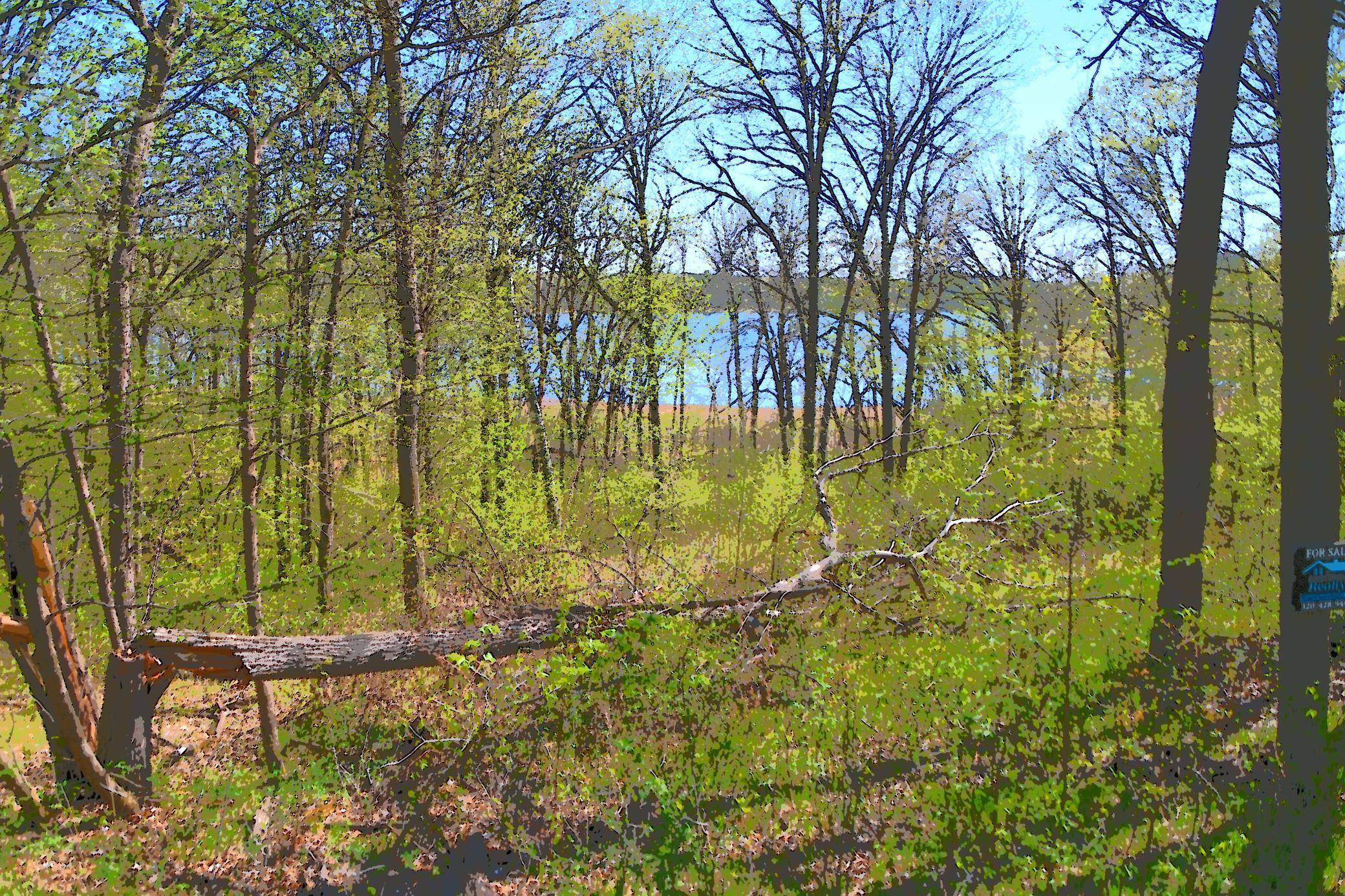 Fawn Lake Twp, MN 56438,TBD Ottawa DR