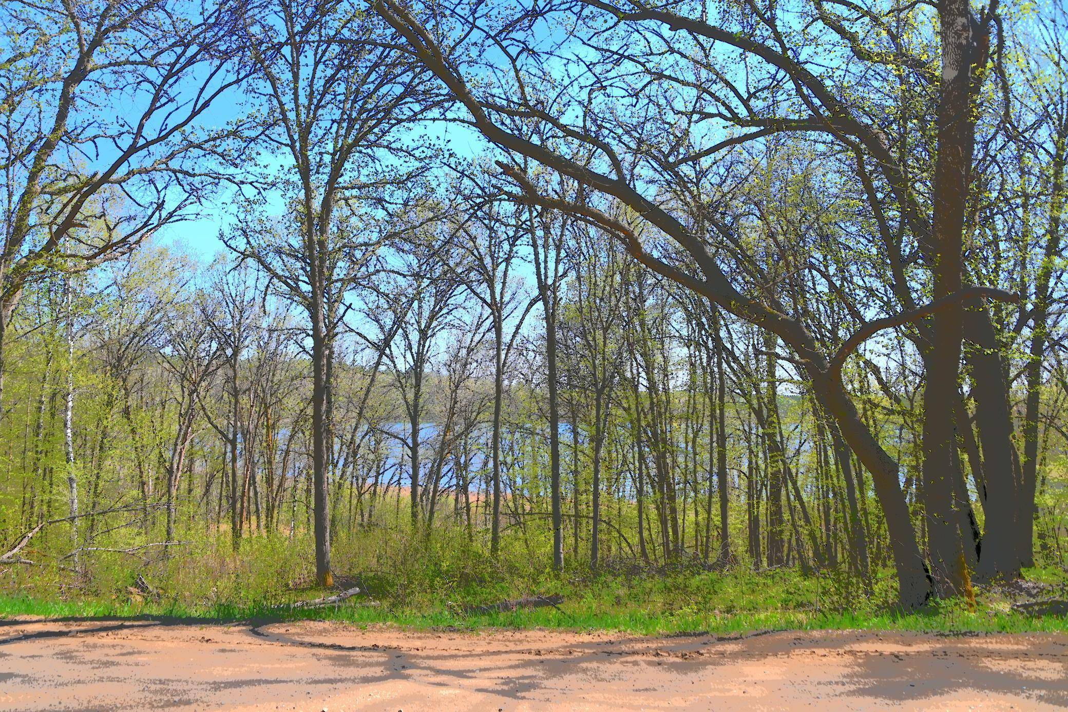 Fawn Lake Twp, MN 56438,TBD Ottawa DR