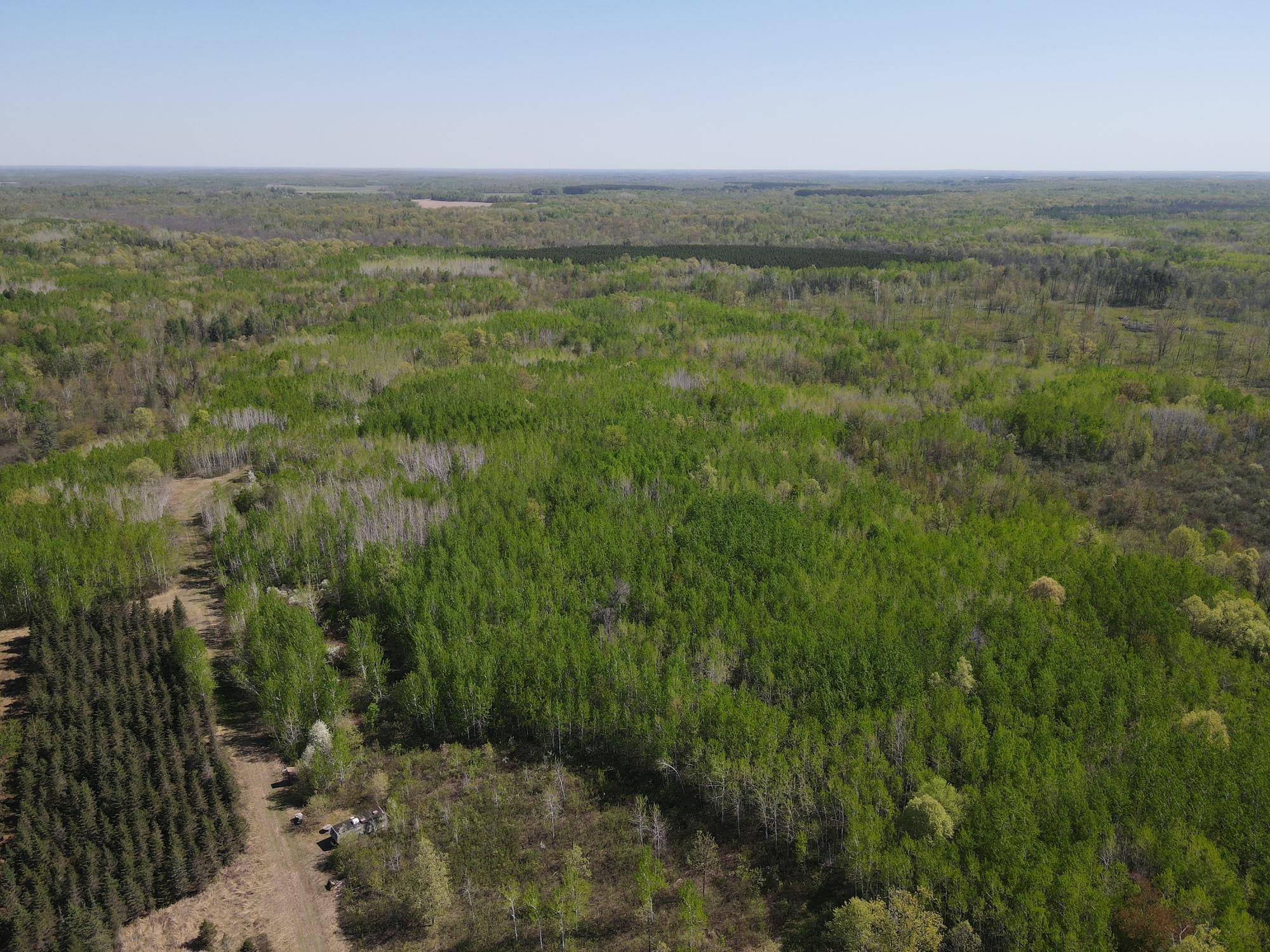 Clover Twp, MN 55037,TBD Sand Rivers RD