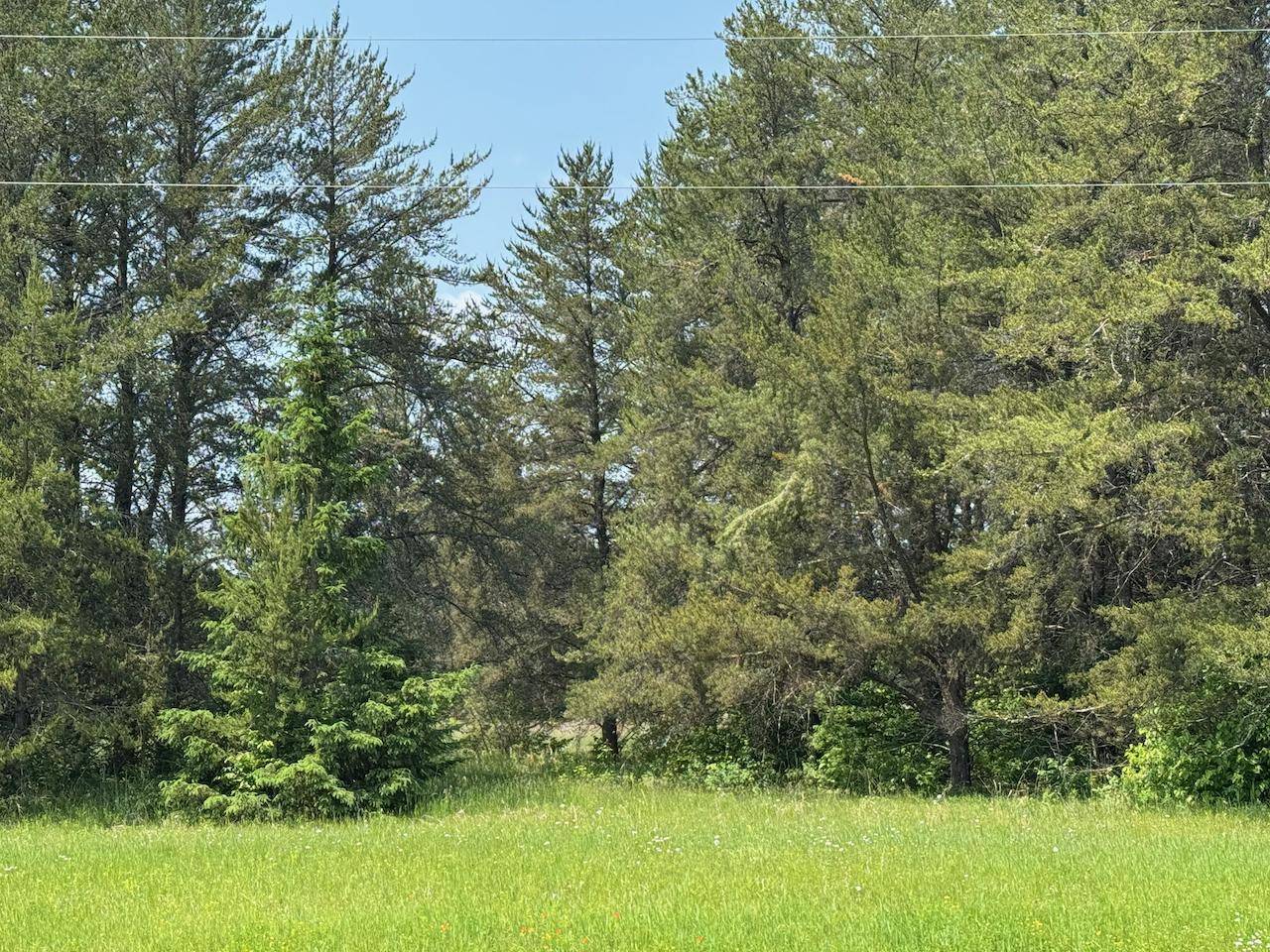 Blackduck, MN 56630,40a Wheat RD NE