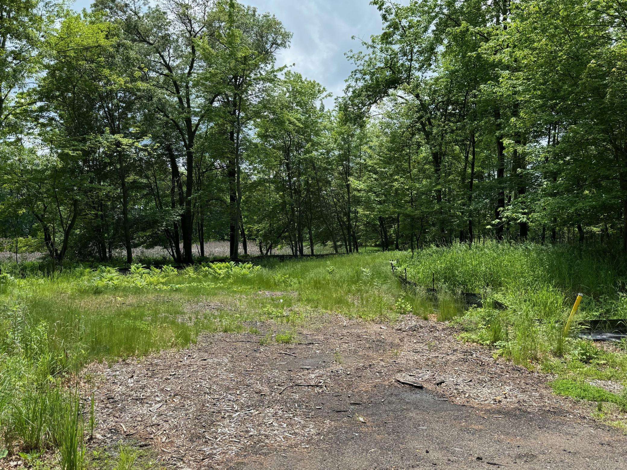 Ham Lake, MN 55304,110 177th AVE NE
