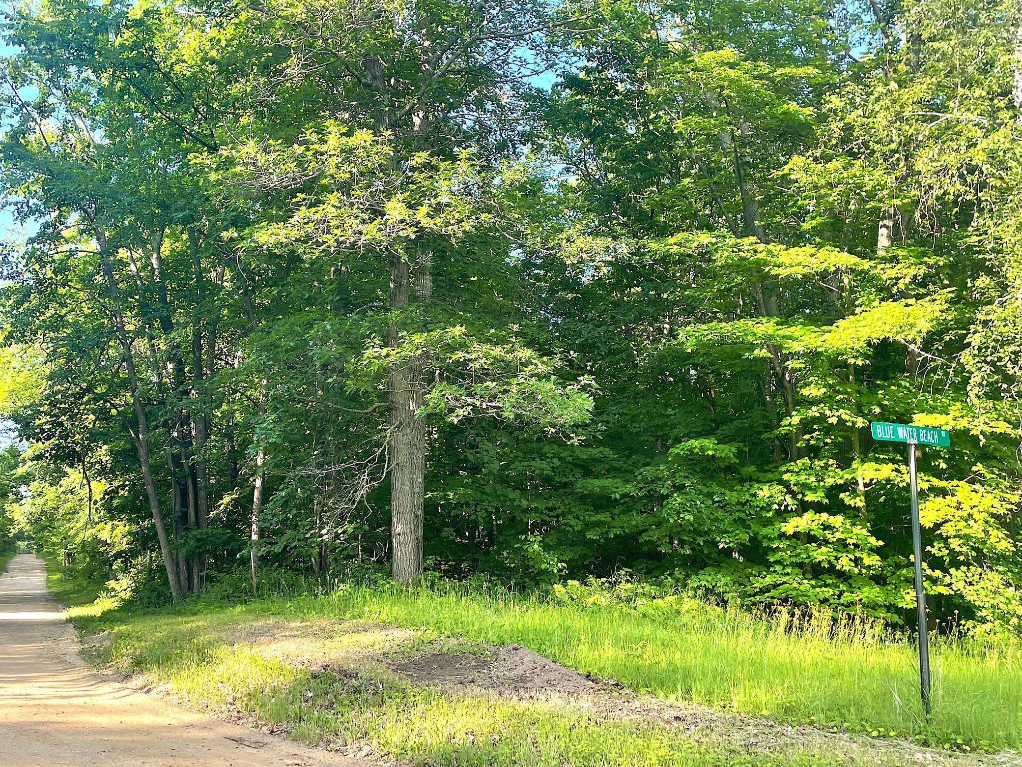 Walker, MN 56484,TBD Blue Water Beach RD