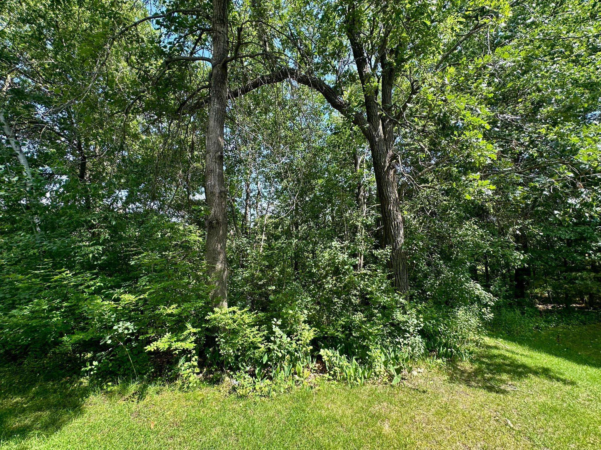 Ramsey, MN 55303,15354 Radium ST NW