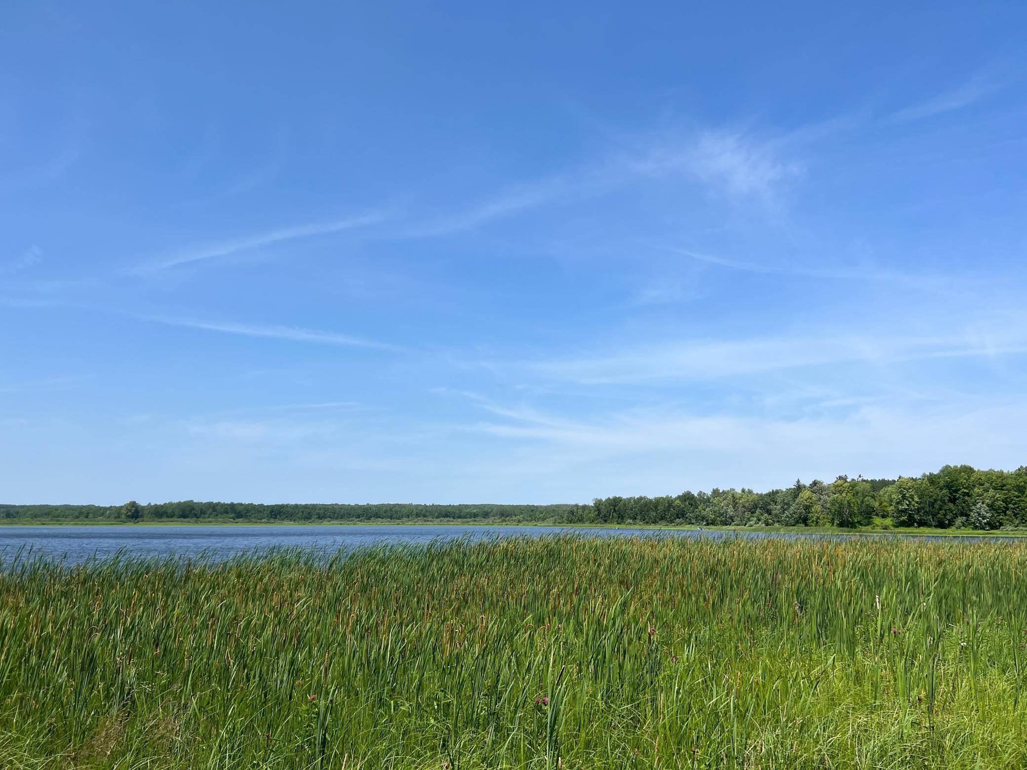 Swatara, MN 55785,59112 412th PL