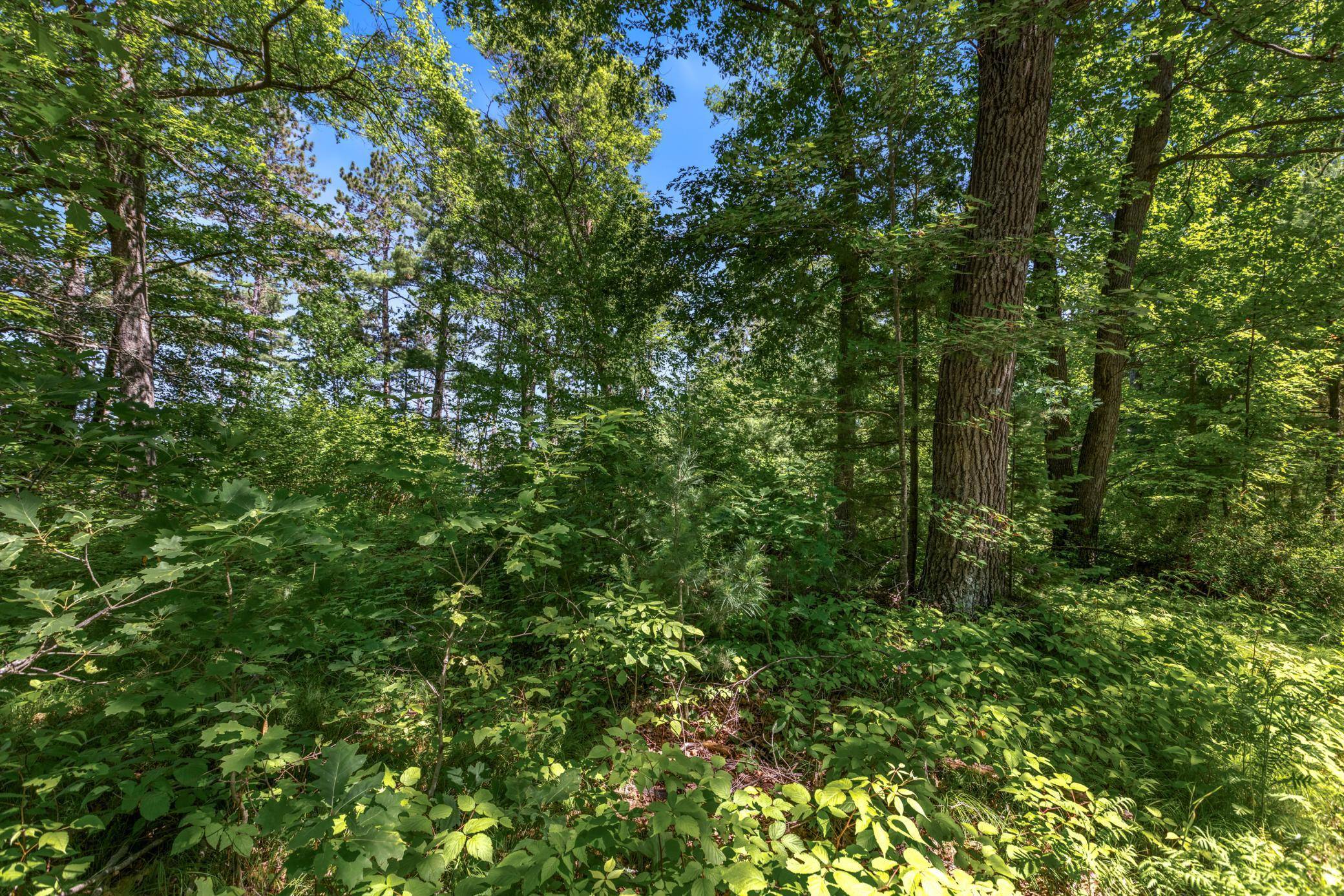 Bass Lake Twp, WI 54843,14288W Poplar LN