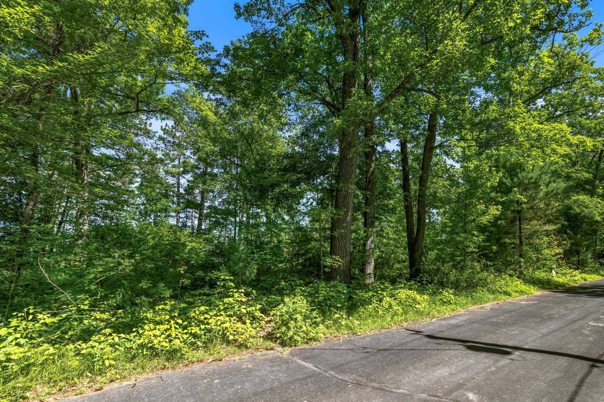 Bass Lake Twp, WI 54843,14288W Poplar LN