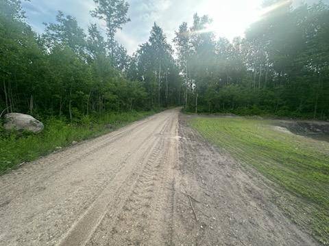 Salol, MN 56756,TBD 500th AVE