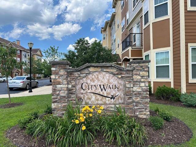 Woodbury, MN 55129,10035 City Walk DR #103