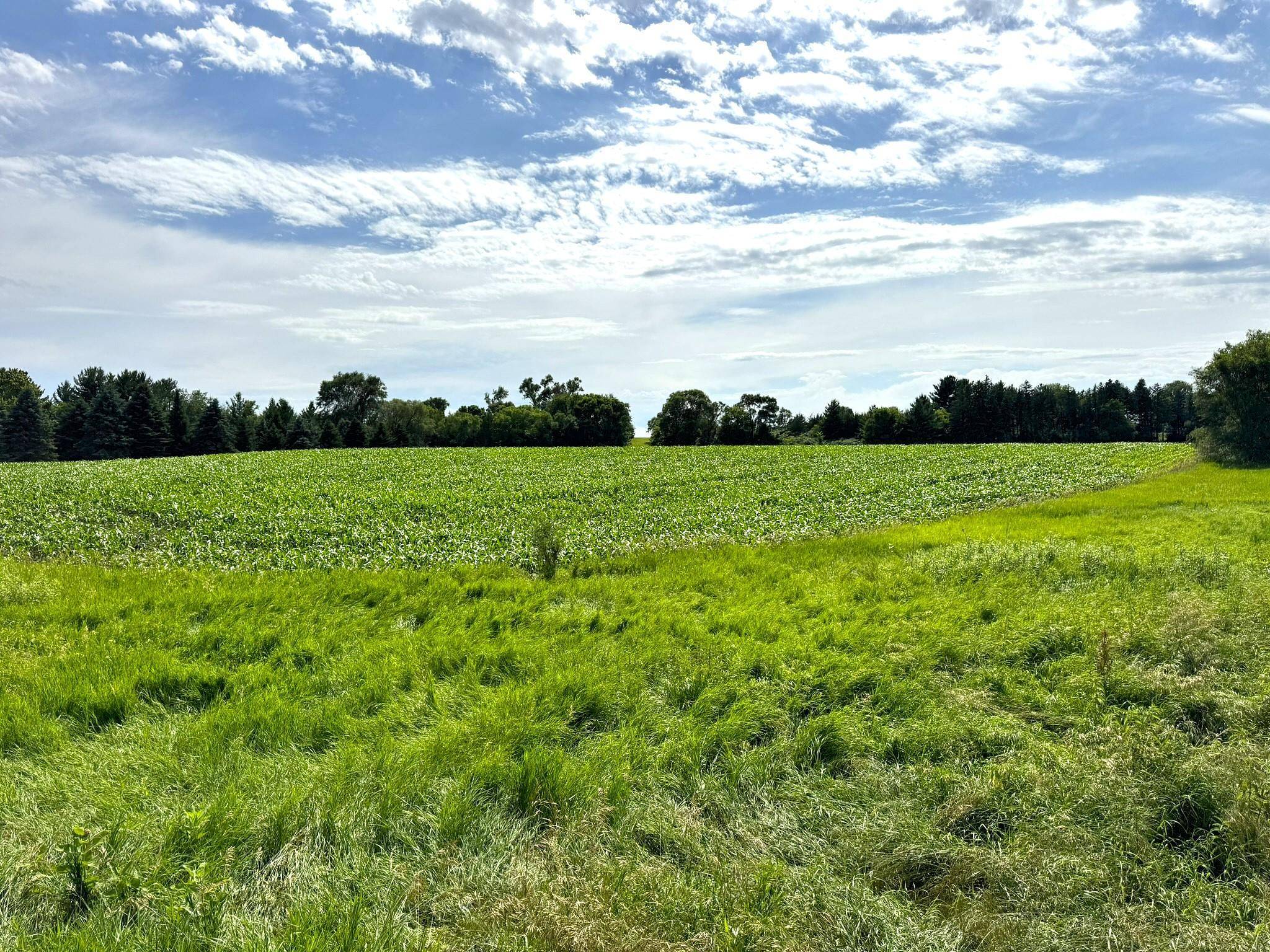 Ravenna Twp, MN 55033,170xx 175th ST E