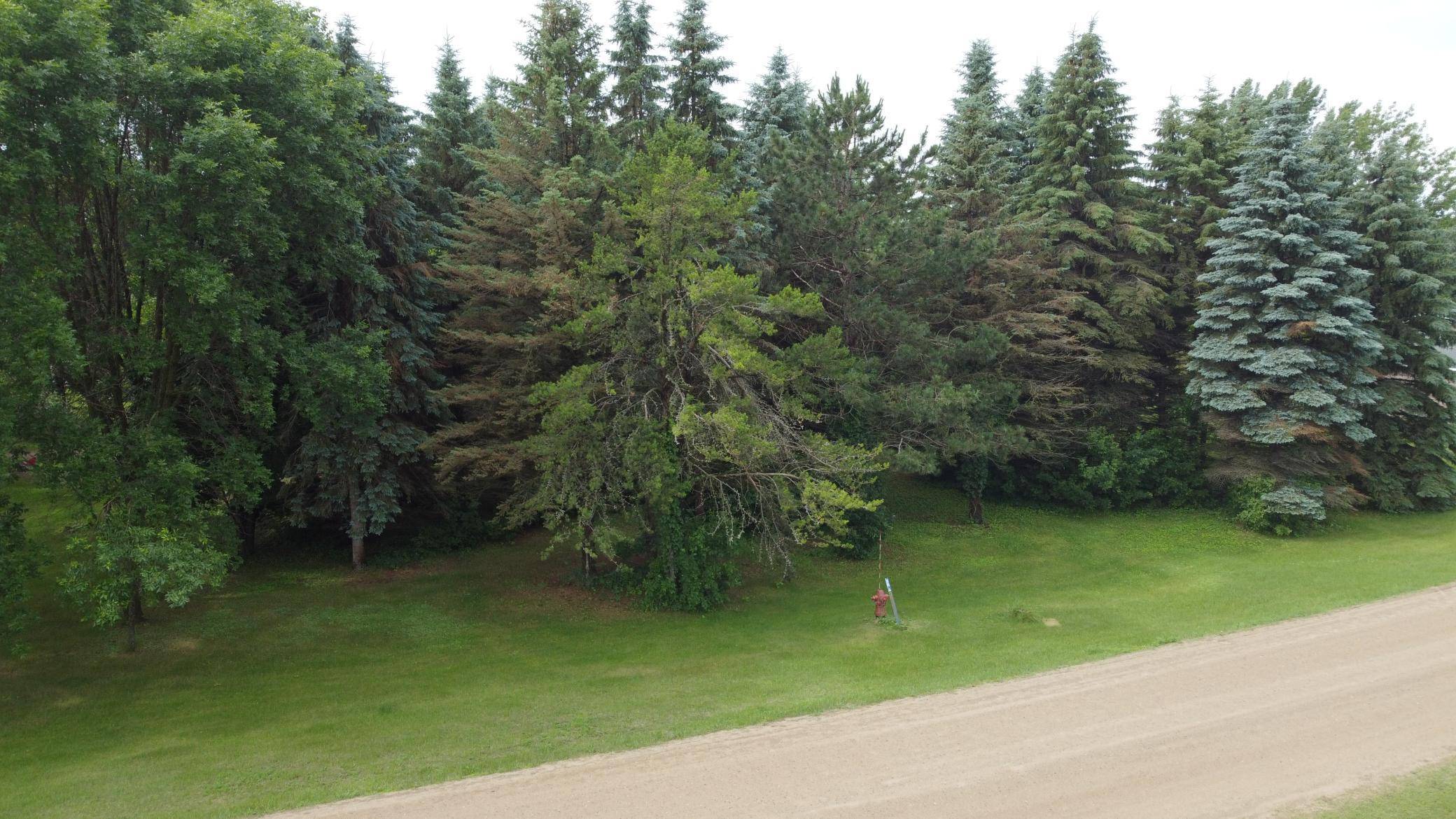Ottertail, MN 56571,238 Park CIR