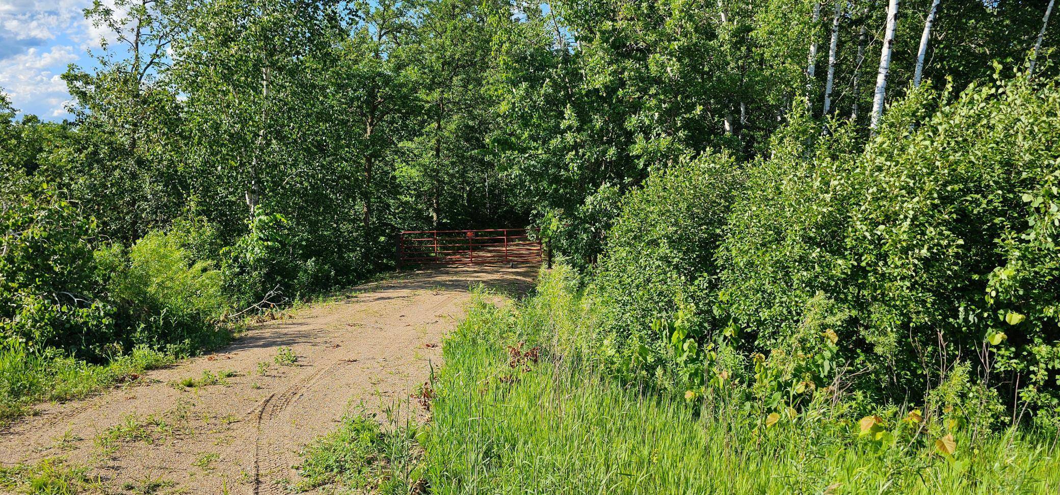 Savannah Twp, MN 56470,36384 County Highway 46