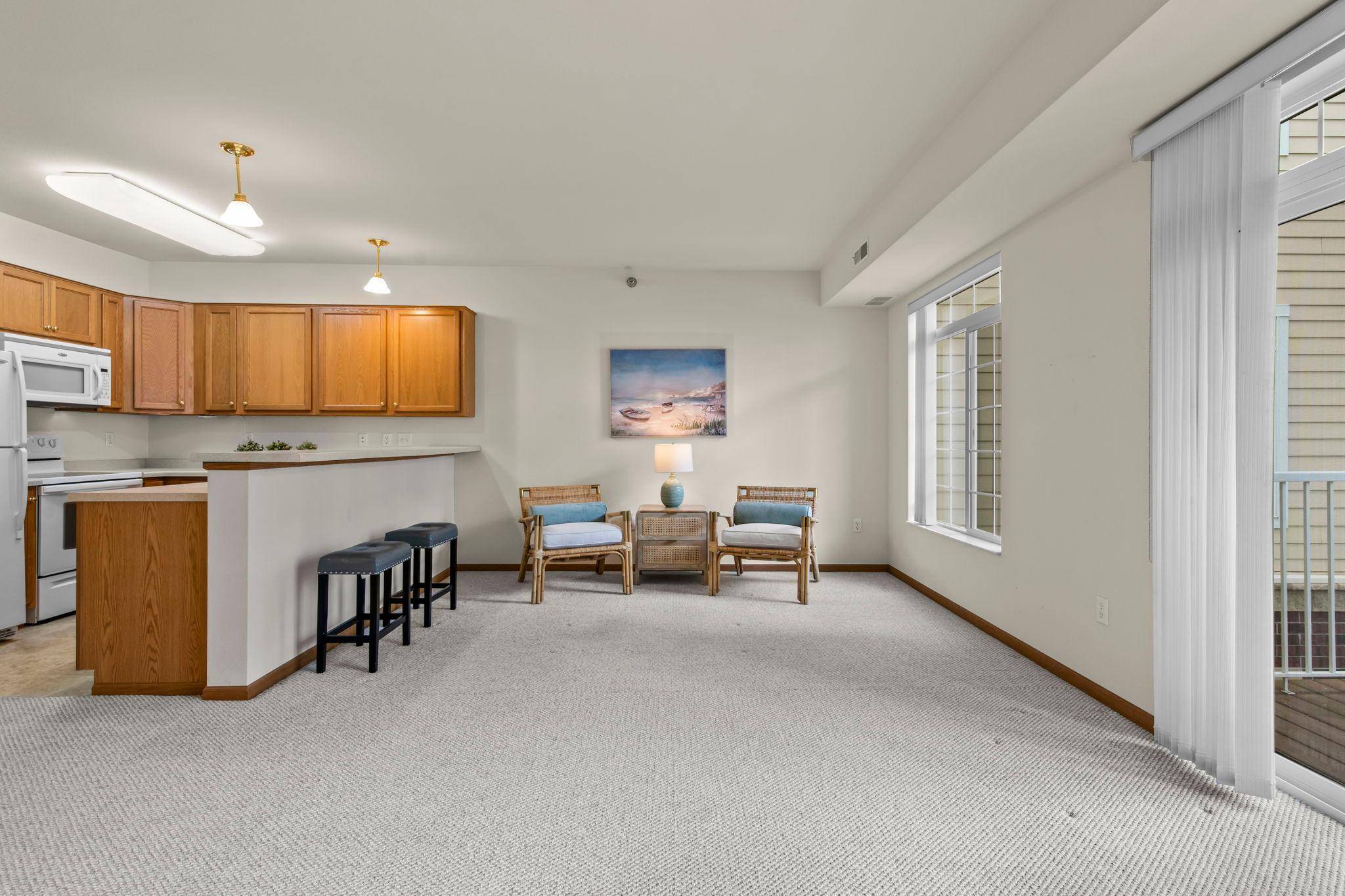 Saint Louis Park, MN 55426,8200 W 33rd ST #223