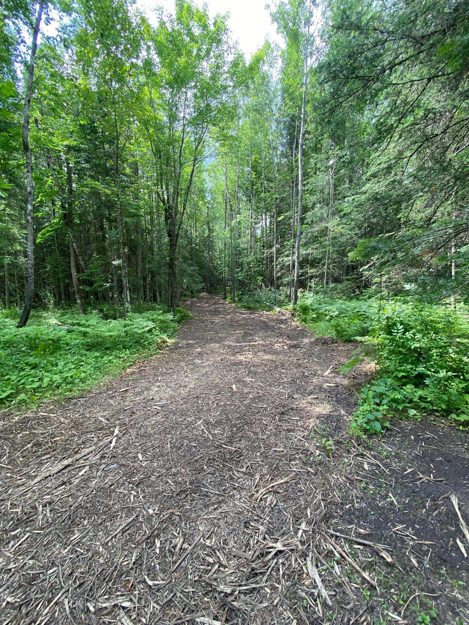 Lake Jessie Twp, MN 56636,Parcel A County Road 35