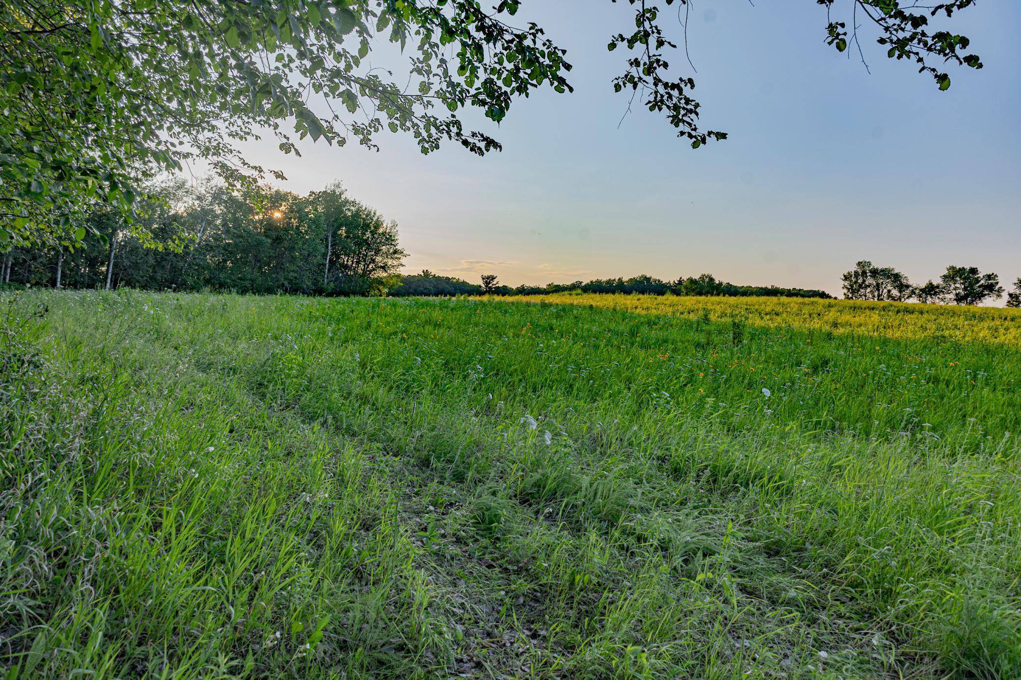 New York Mills, MN 56567,3xxxx Co Hwy 67