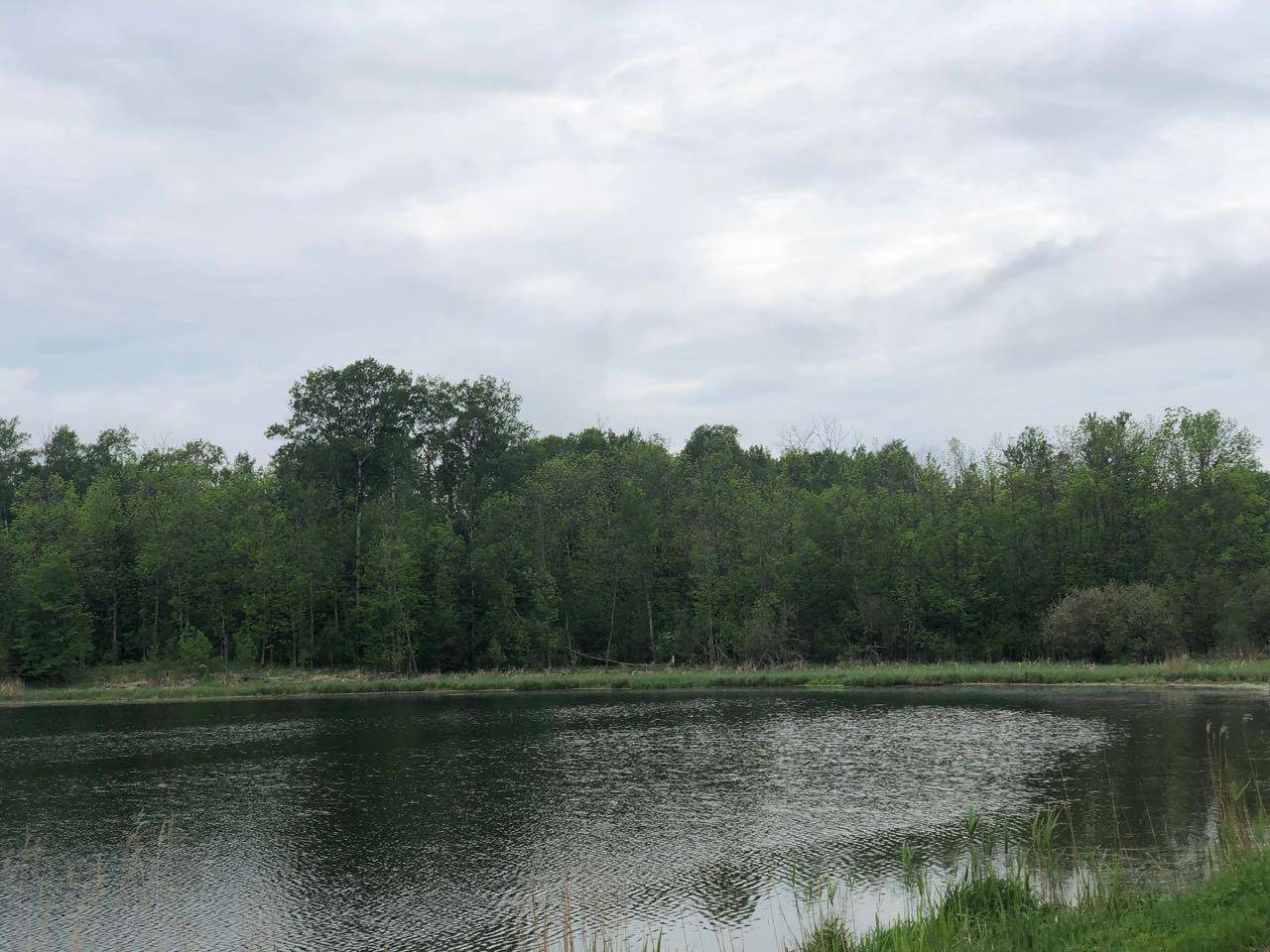 Hines, MN 56647,9a Hines Road NE