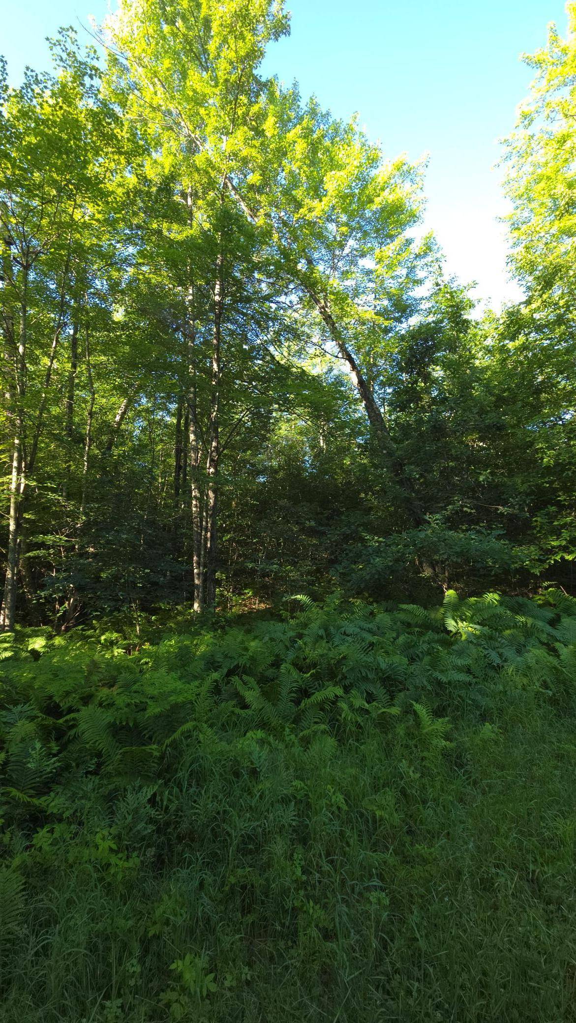 Jackson Twp, WI 54830,XXX Hawks Nest AVE