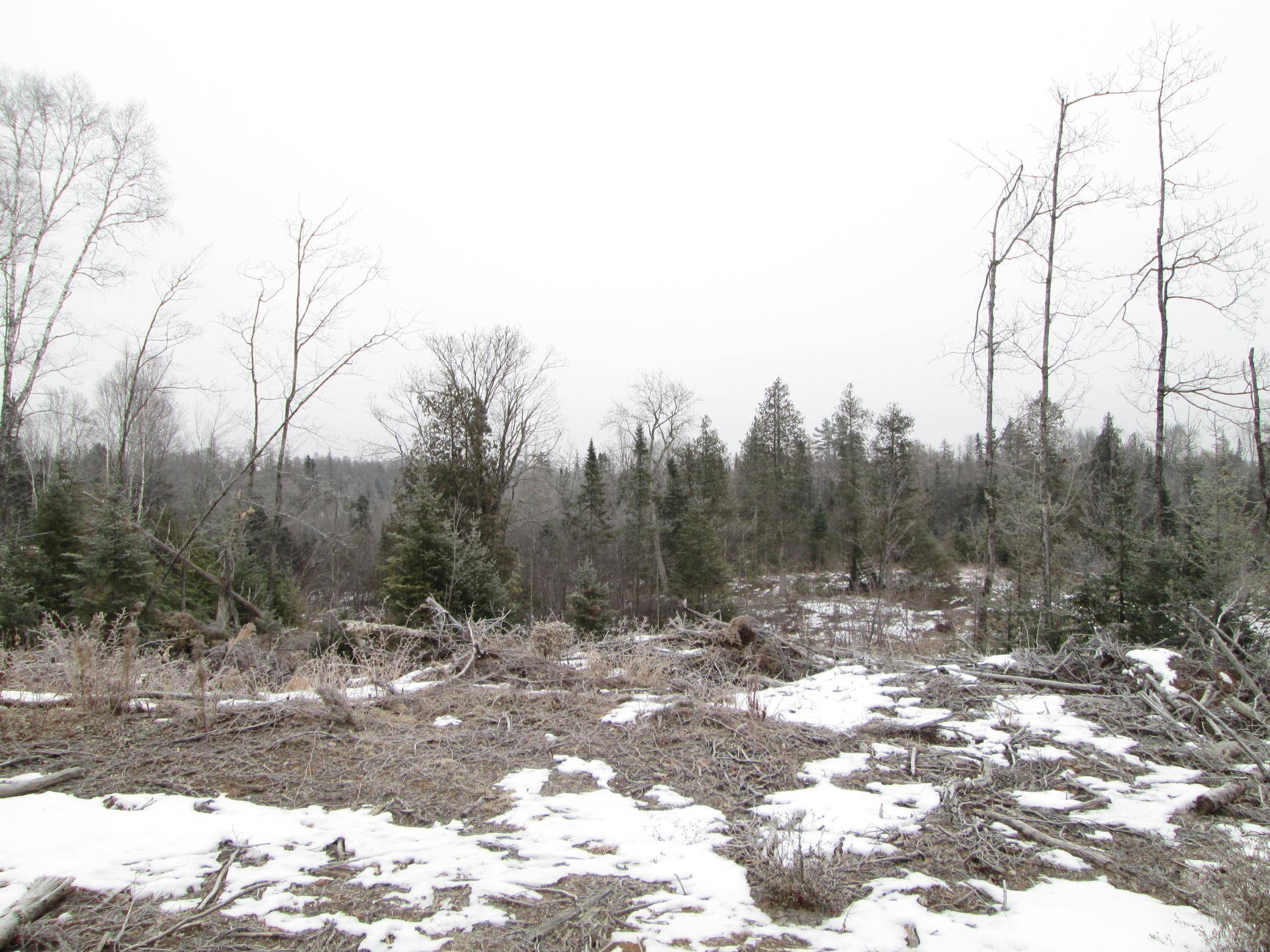 Hawthorne, WI 54874,TBD County Rd L, Lot 2