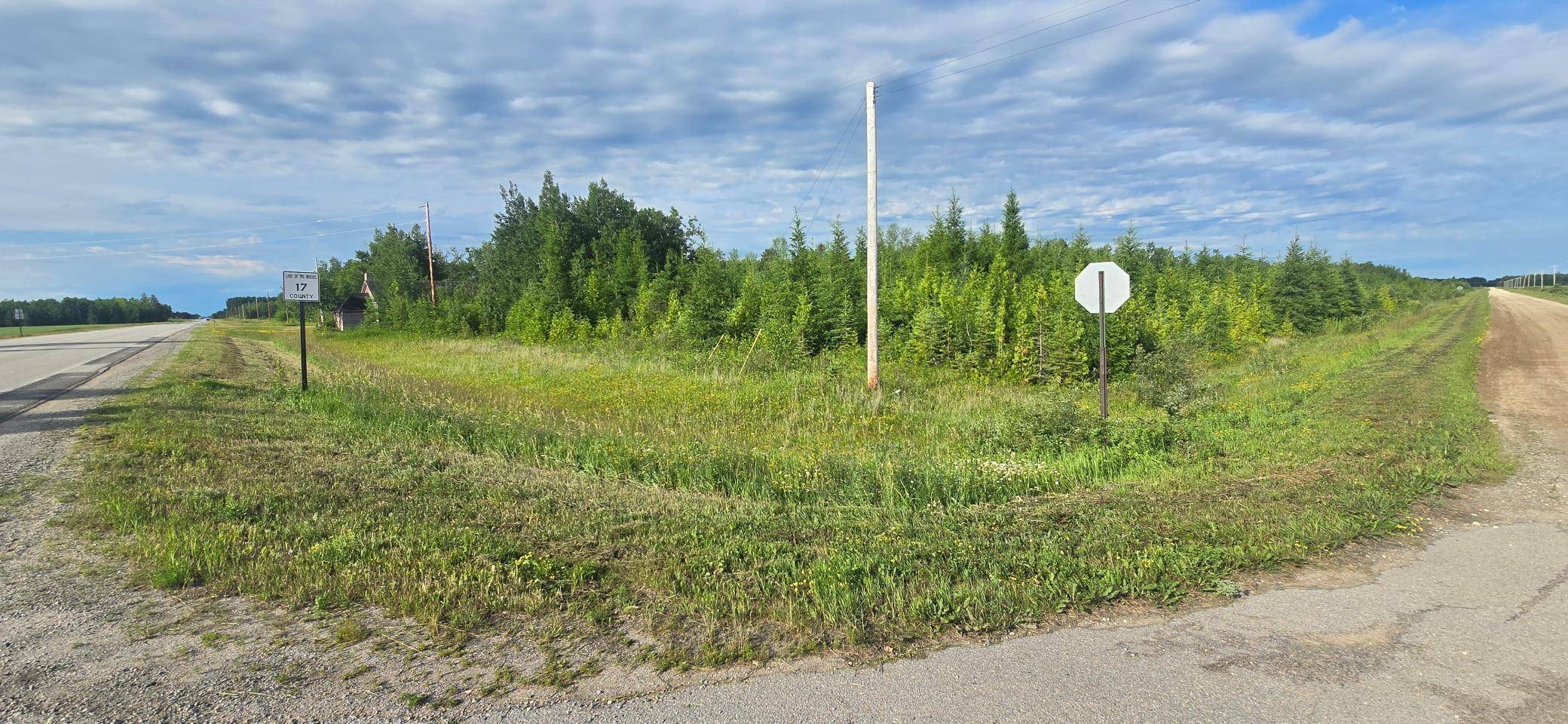 Laona Twp, MN 56673,33949 County 17 RD