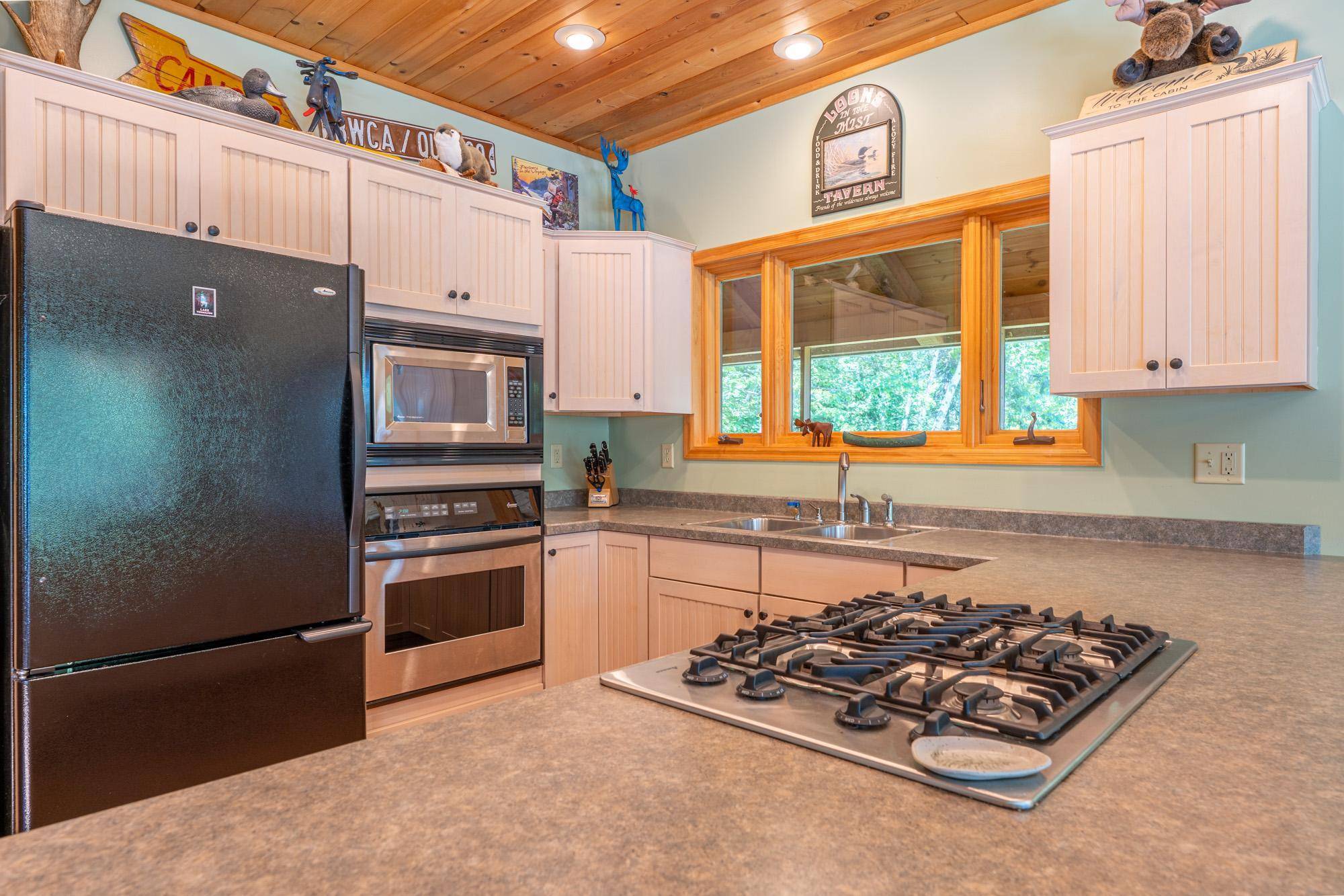 Greenwood Twp, MN 55790,95146 Grassy PT S