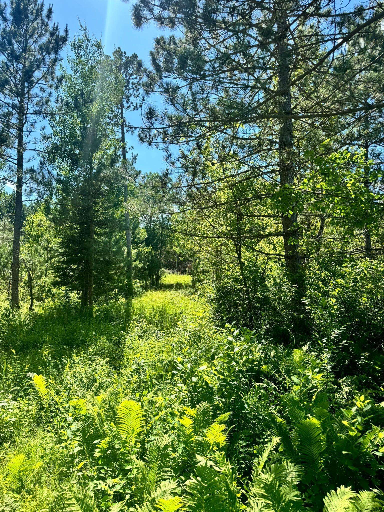 Nevis, MN 56467,TBD Lot 5 Destination DR