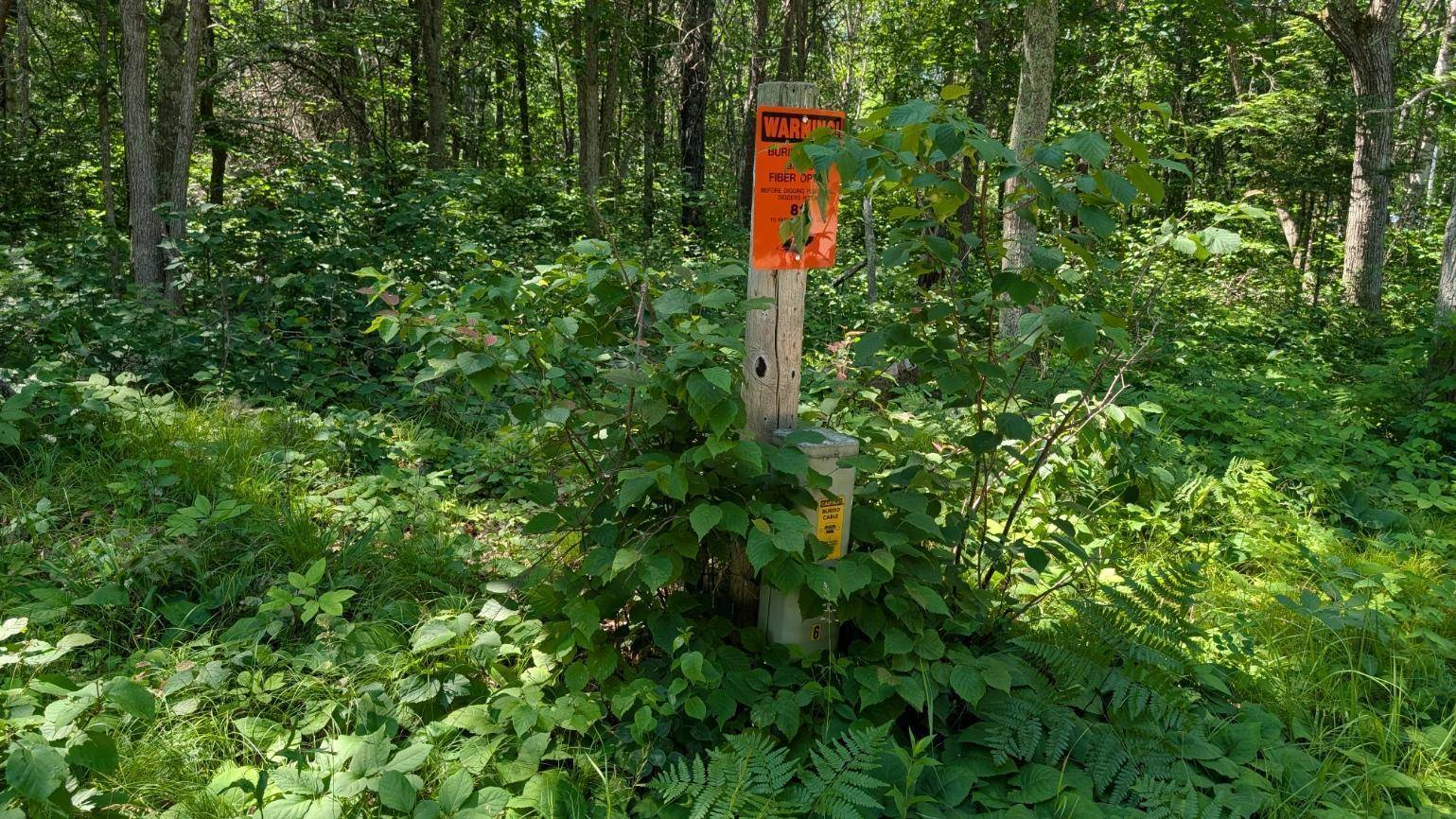 Pine River Twp, MN 56474,TBD 22nd ST SW