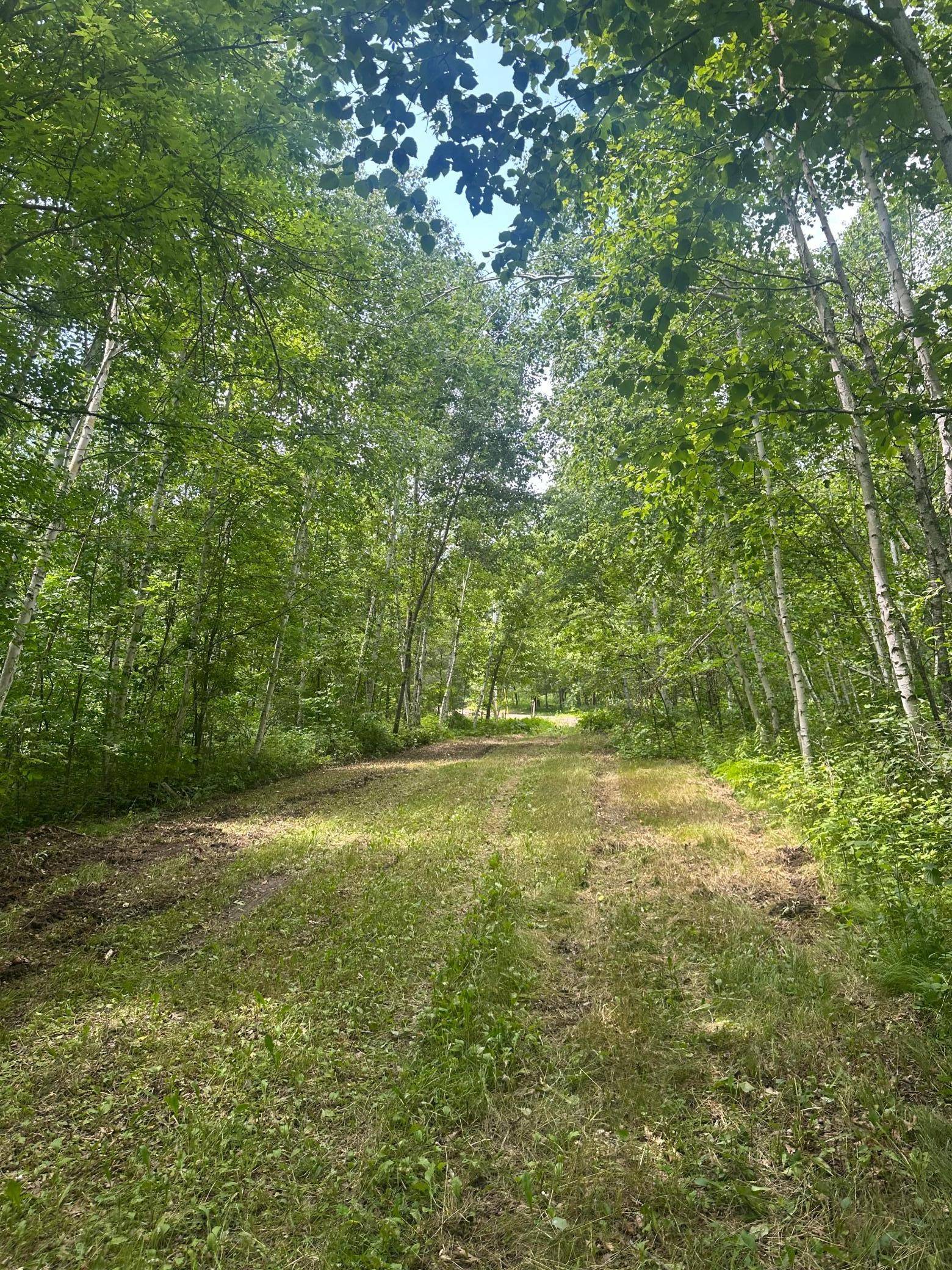 Emily, MN 56447,TBD Olander RD