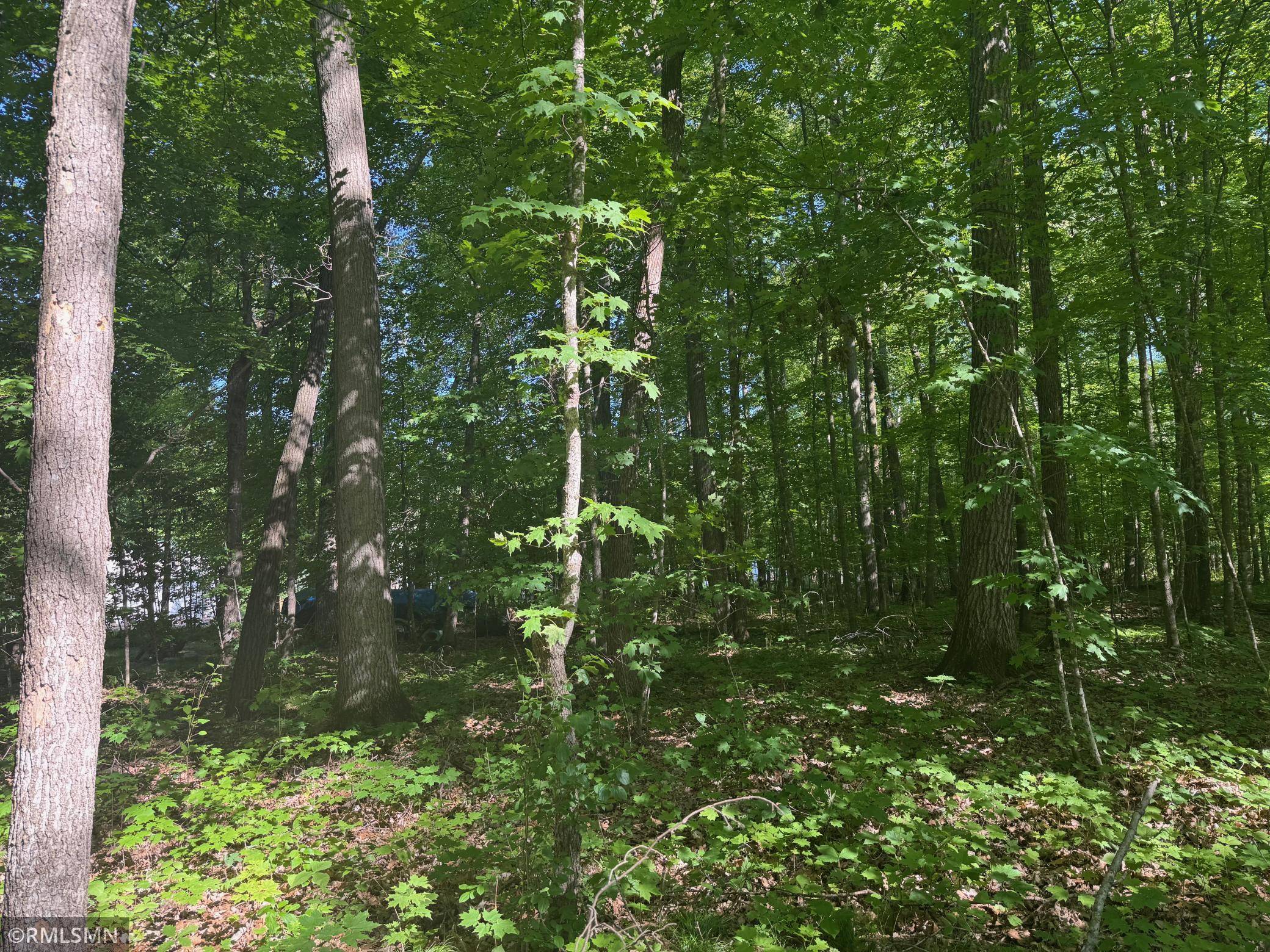 Shamrock Twp, MN 55760,TBD 520th LN