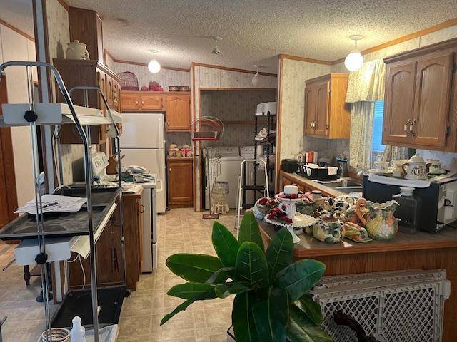 Litchfield, MN 55355,527 South ST E