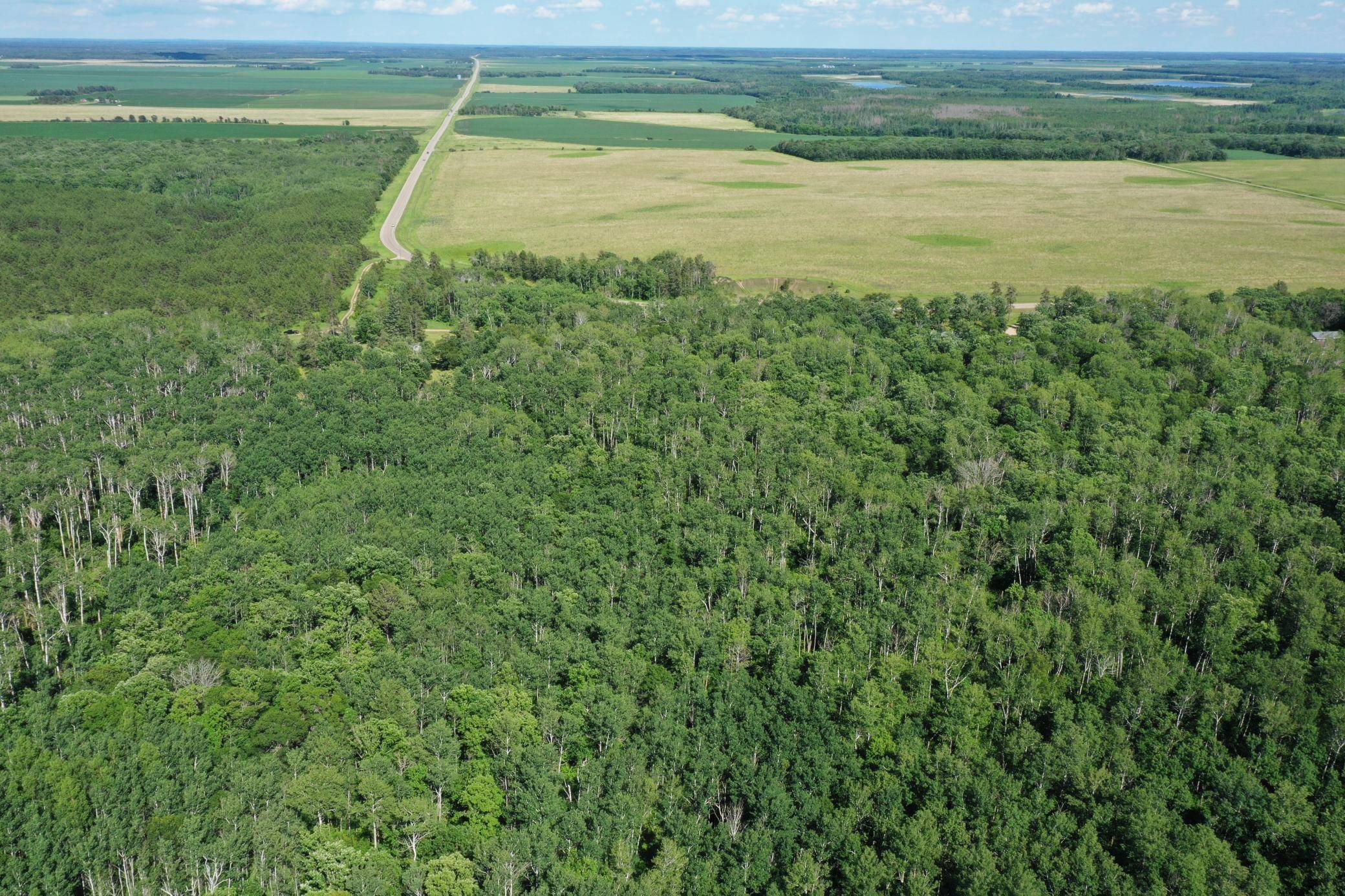 Ponsford, MN 56575,32000 County Highway 37