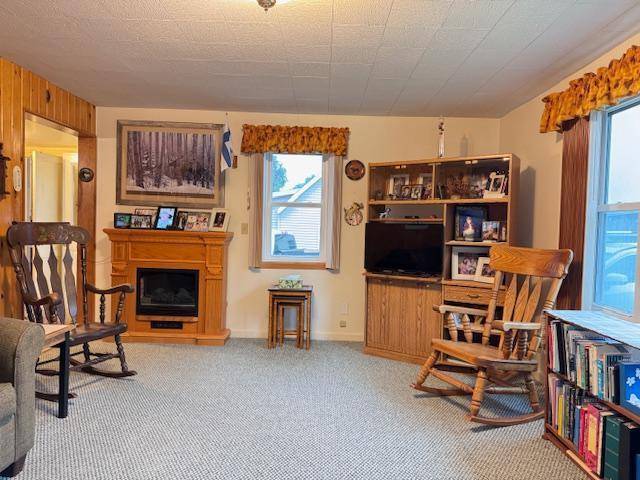 Menahga, MN 56464,317 2nd ST NE