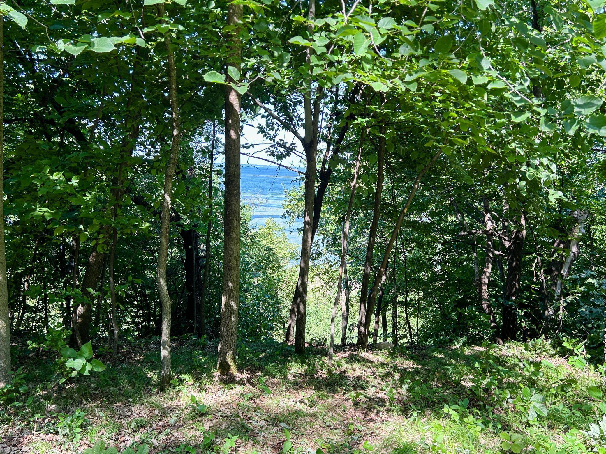 Otto Twp, MN 56567,49137 360th ST
