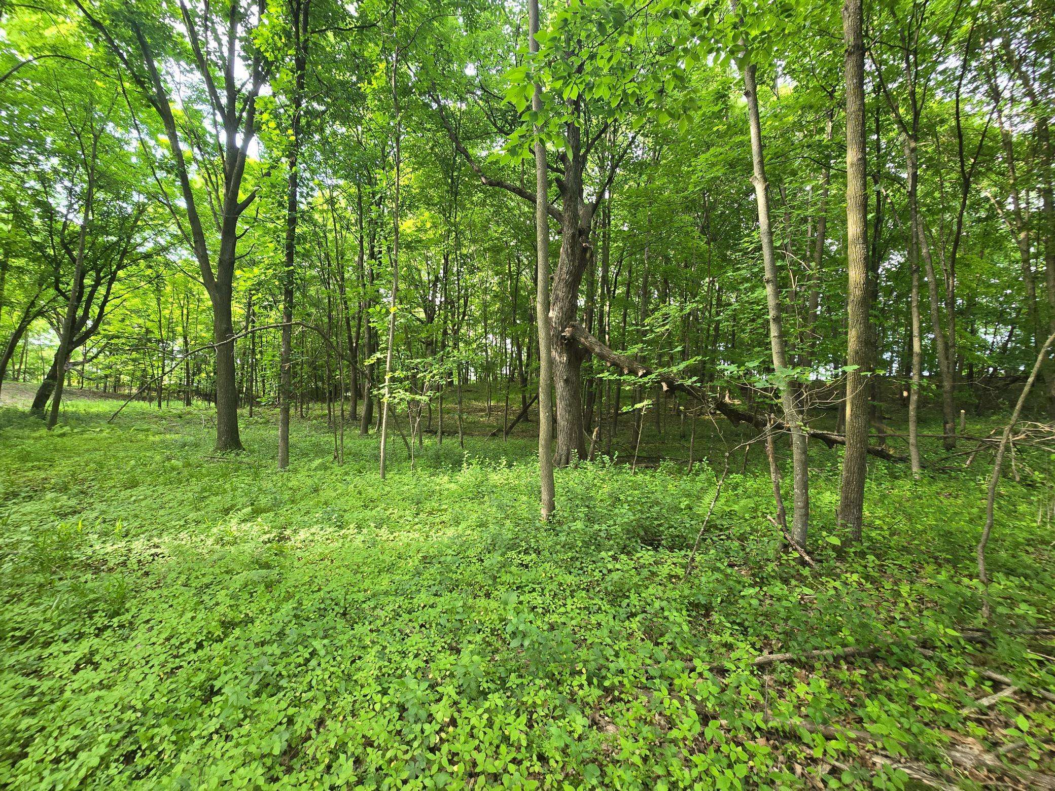 Balsam Lake Twp, WI 54001,TBD 120th AVE