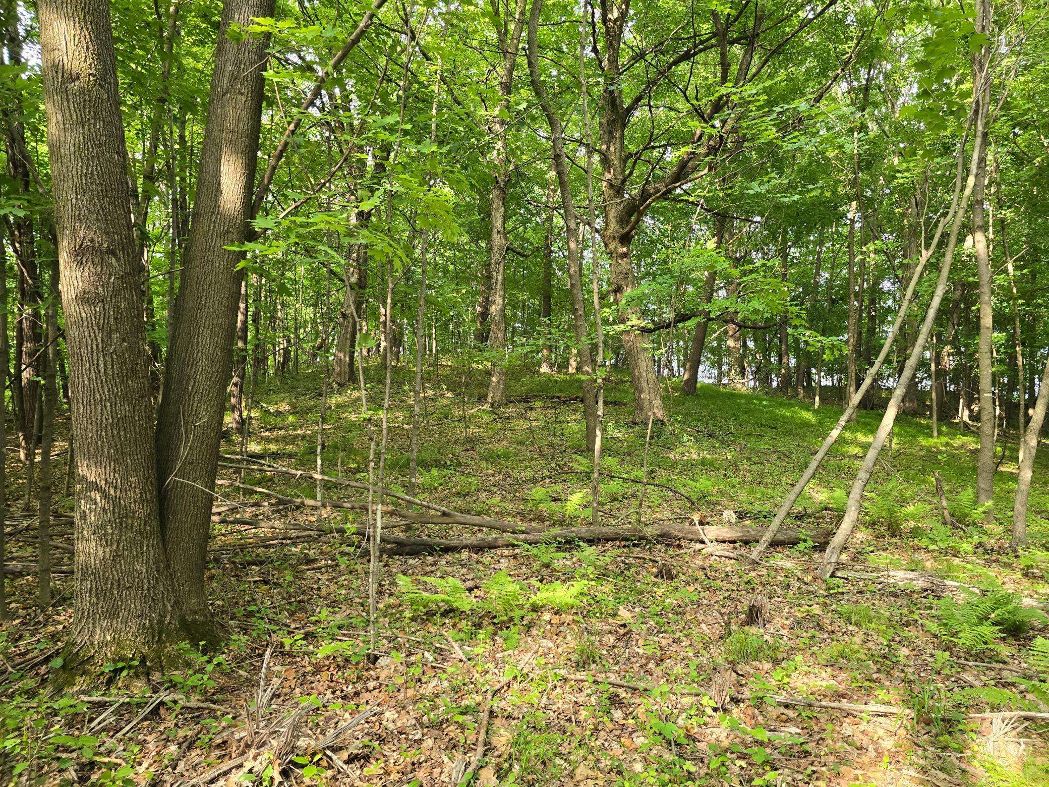 Balsam Lake Twp, WI 54001,TBD 120th AVE
