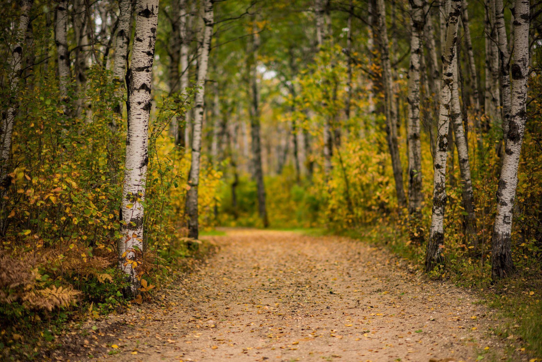 Wannaska, MN 56761,TBD 120th ST