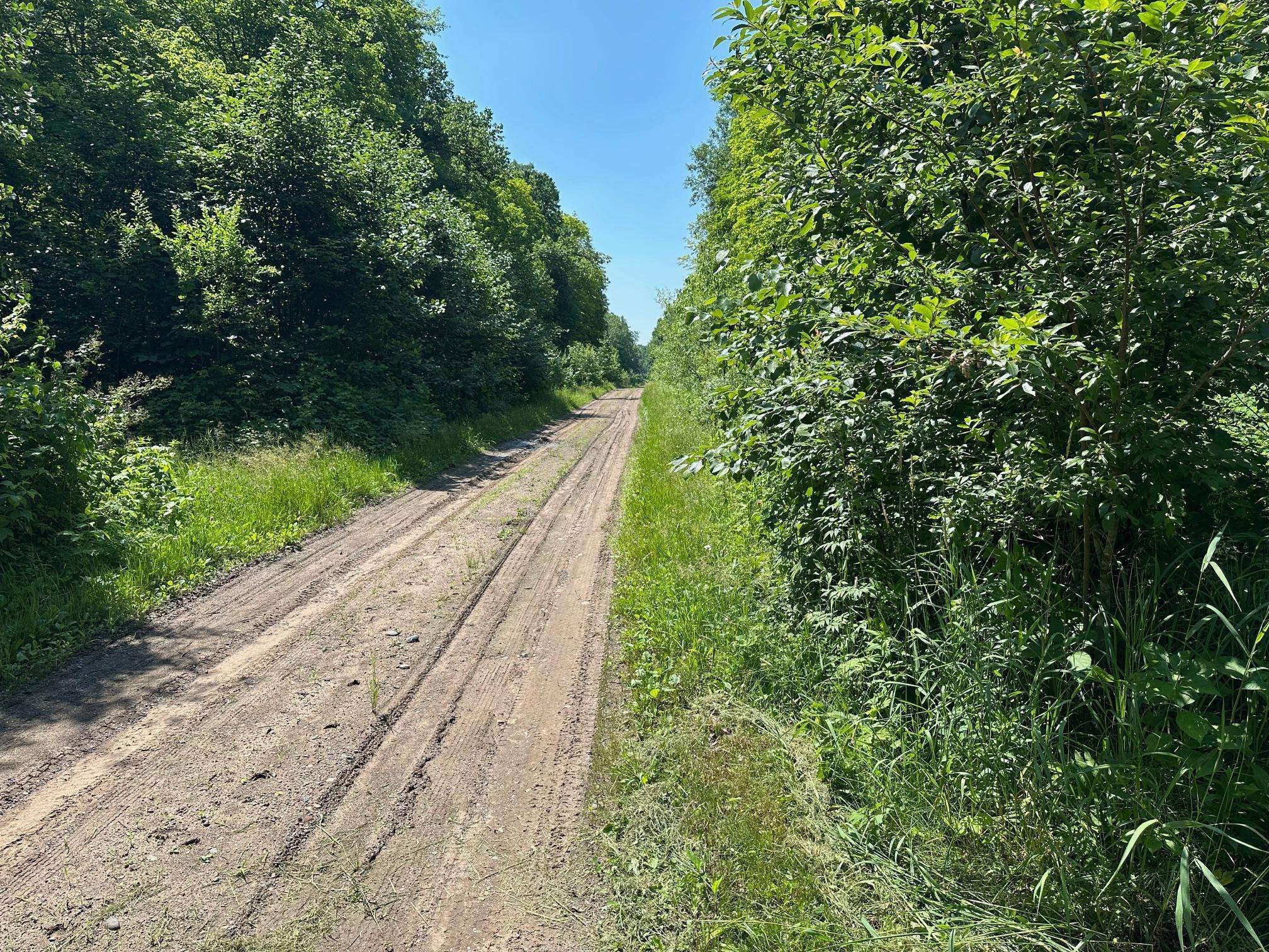 Dailey Twp, MN 56338,XXY Merlin RD