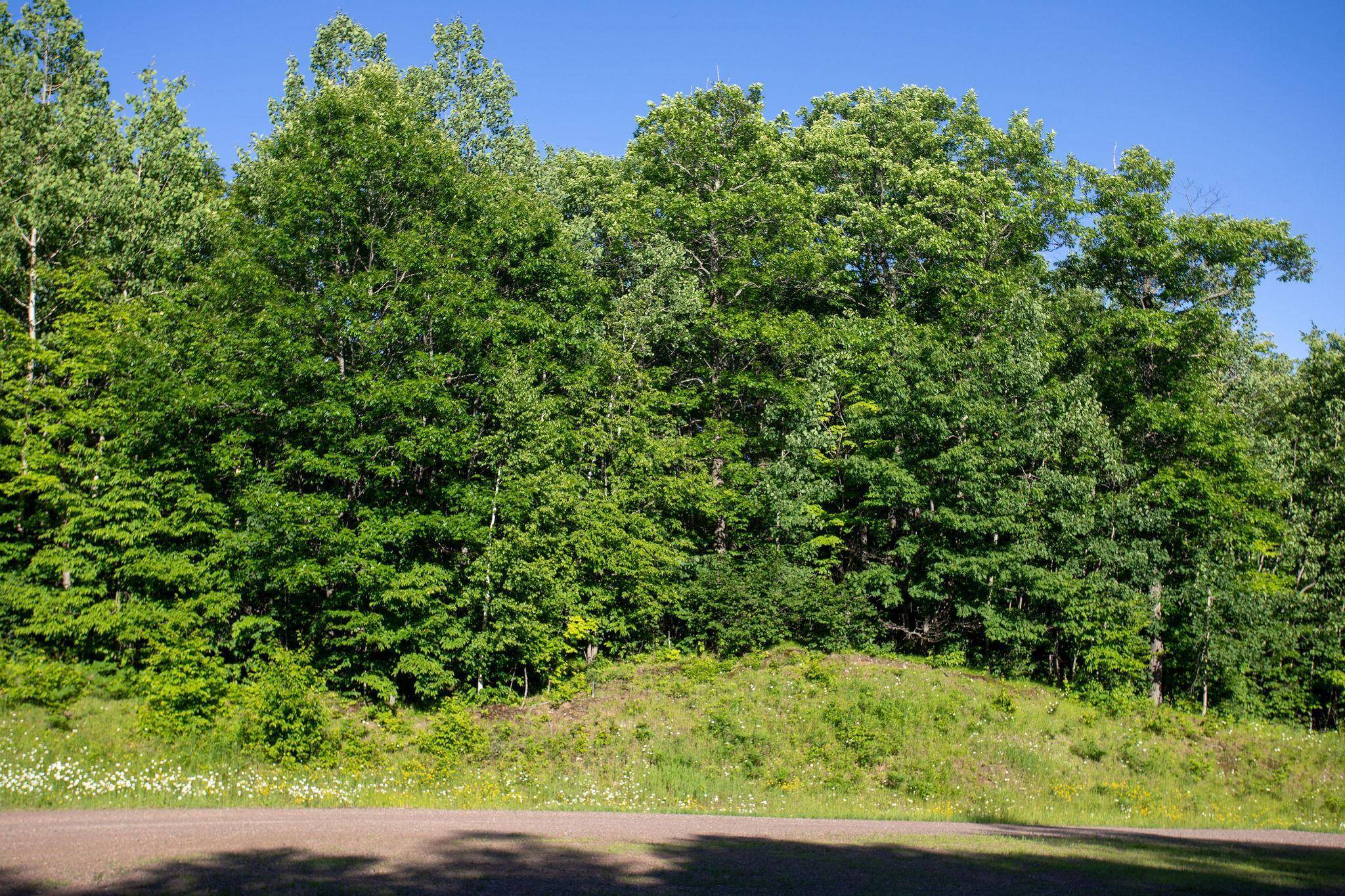 Twin Lakes Twp, MN 55718,XXXX Moonlight DR