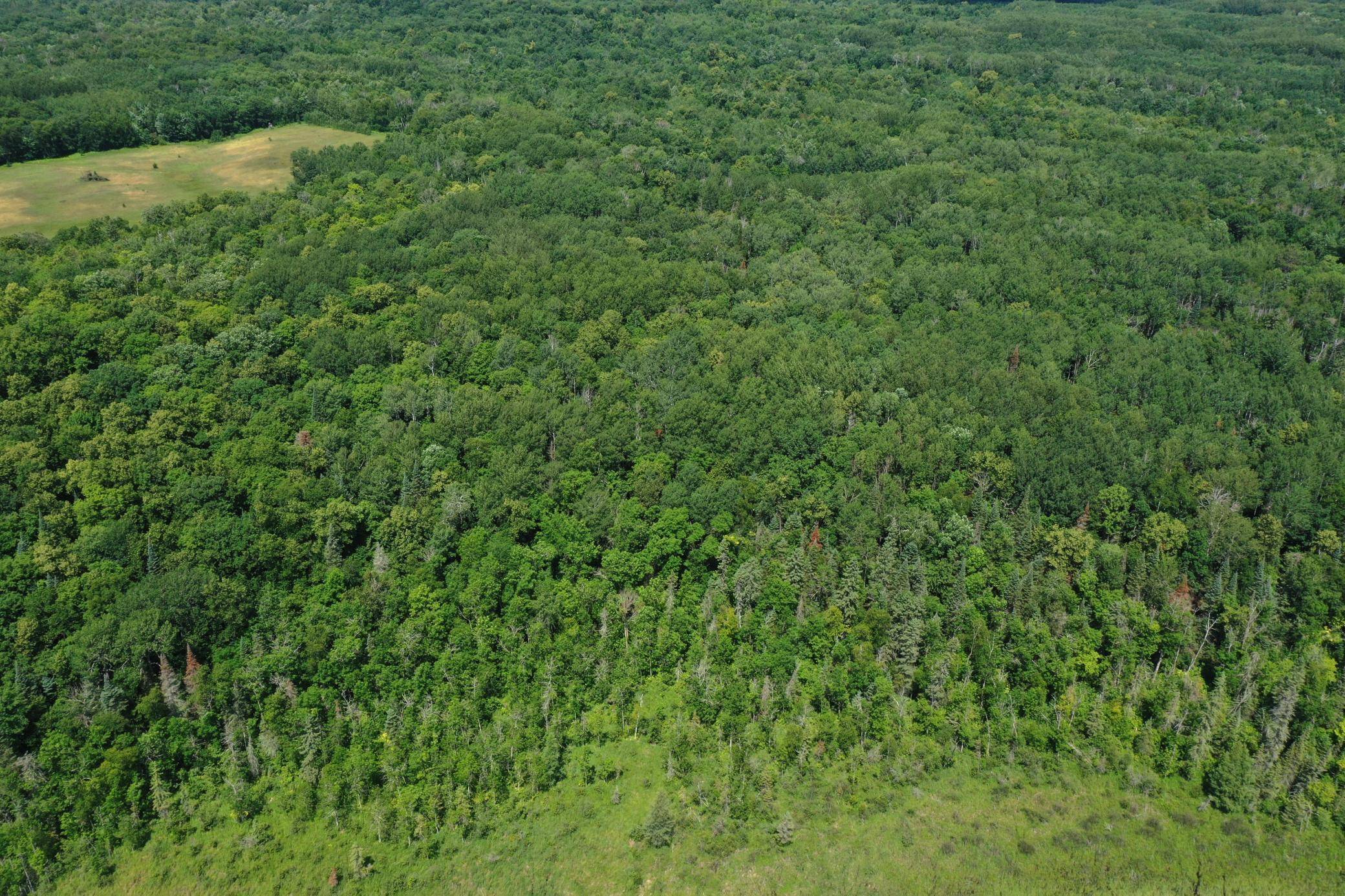 Park Rapids, MN 56470,TBD Breitbach RD