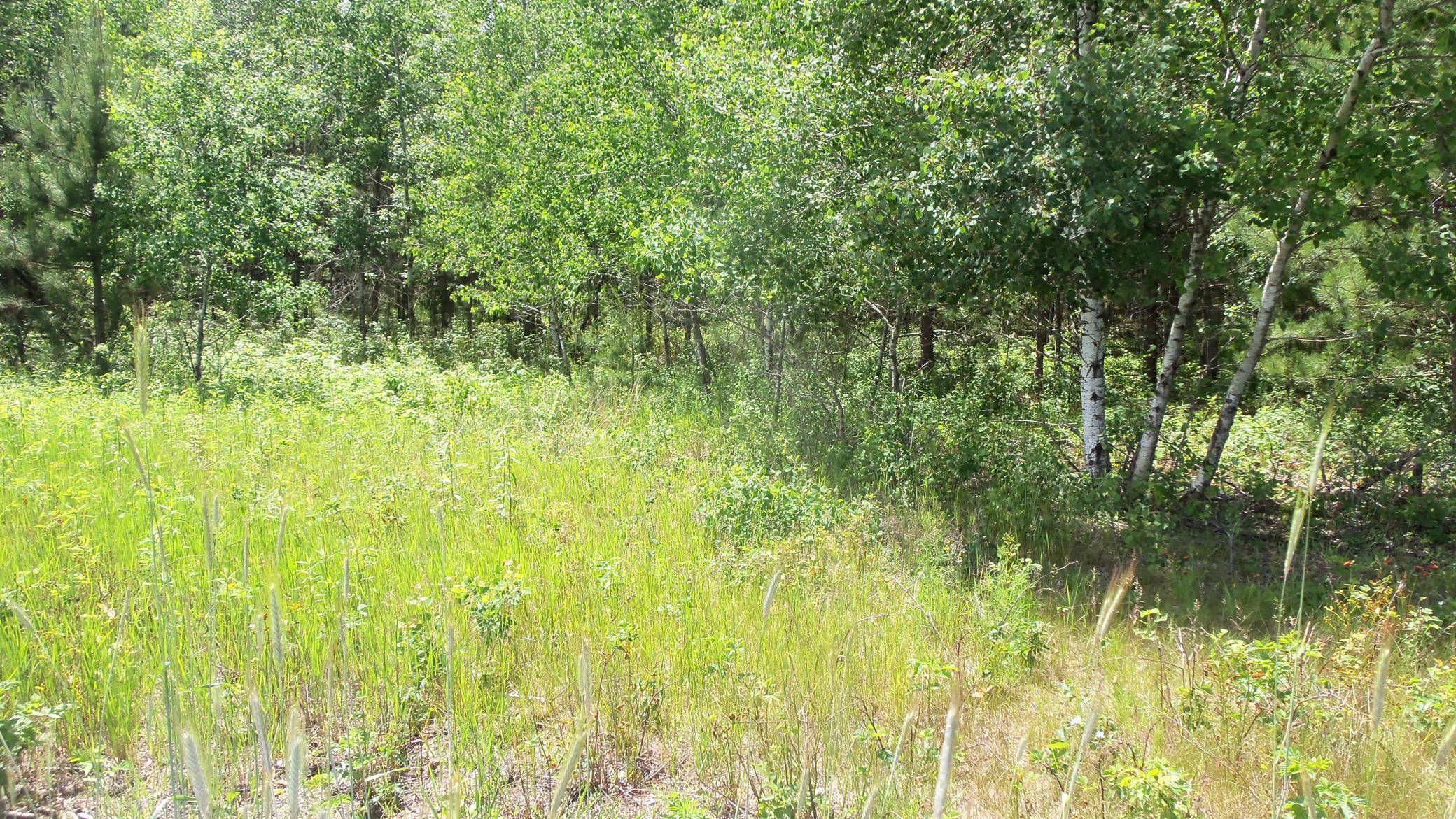 Siren, WI 54872,Lot 10 Maple Ln