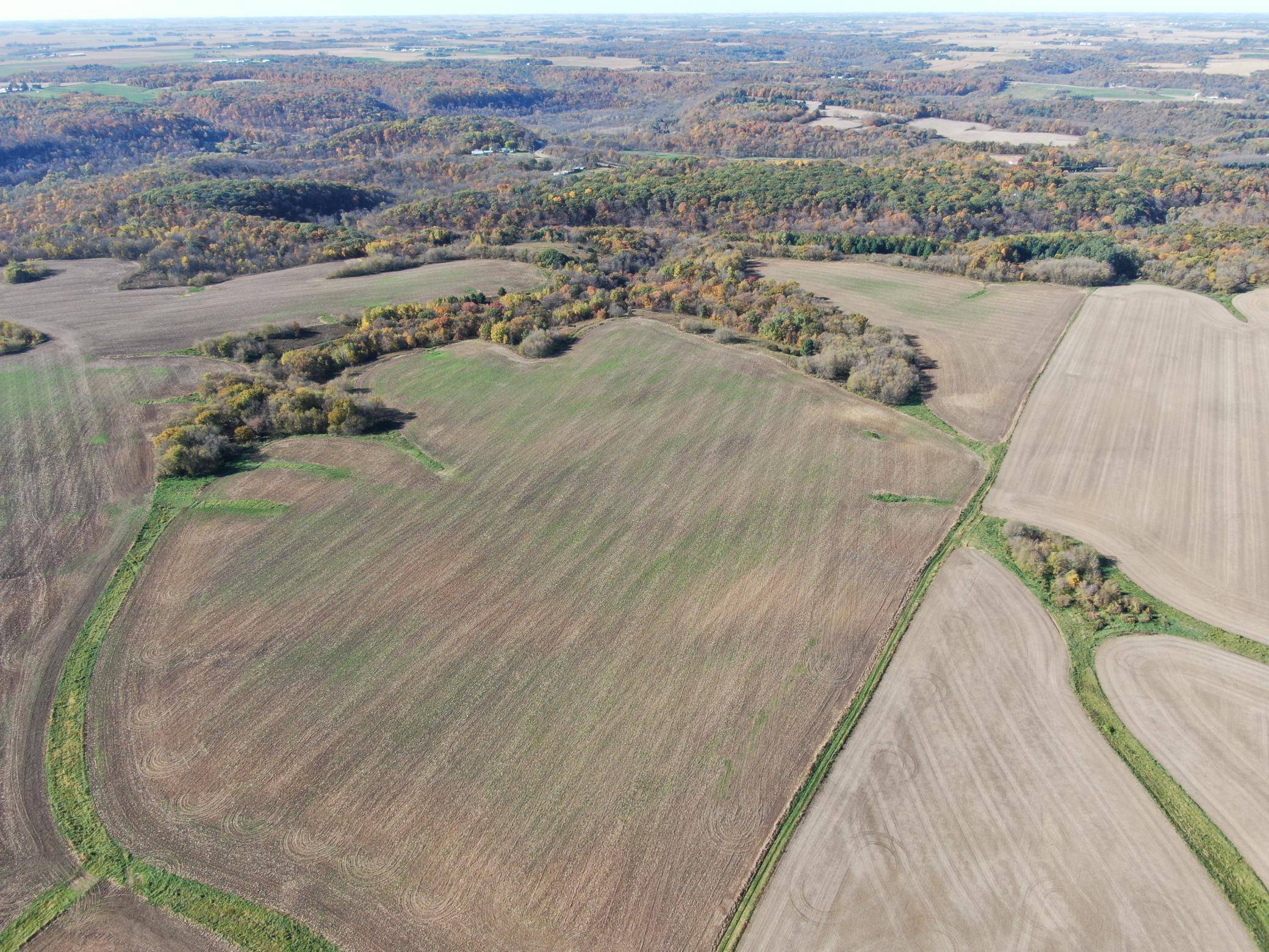 Orion Twp, MN 55934,tbd 70th ST SE