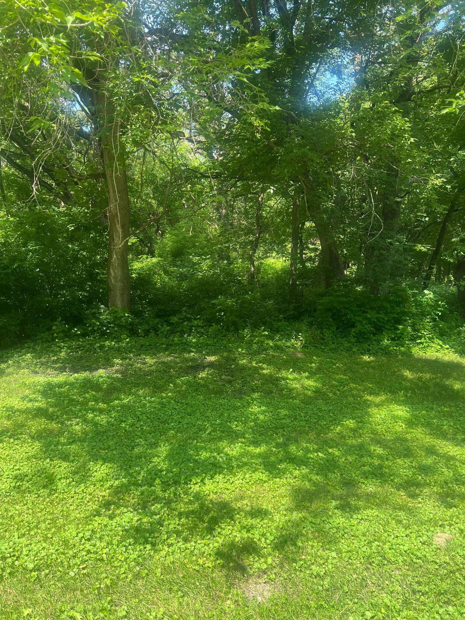Glenwood, MN 56334,TBD Lot 1 Envelope 2 Baycrest RD