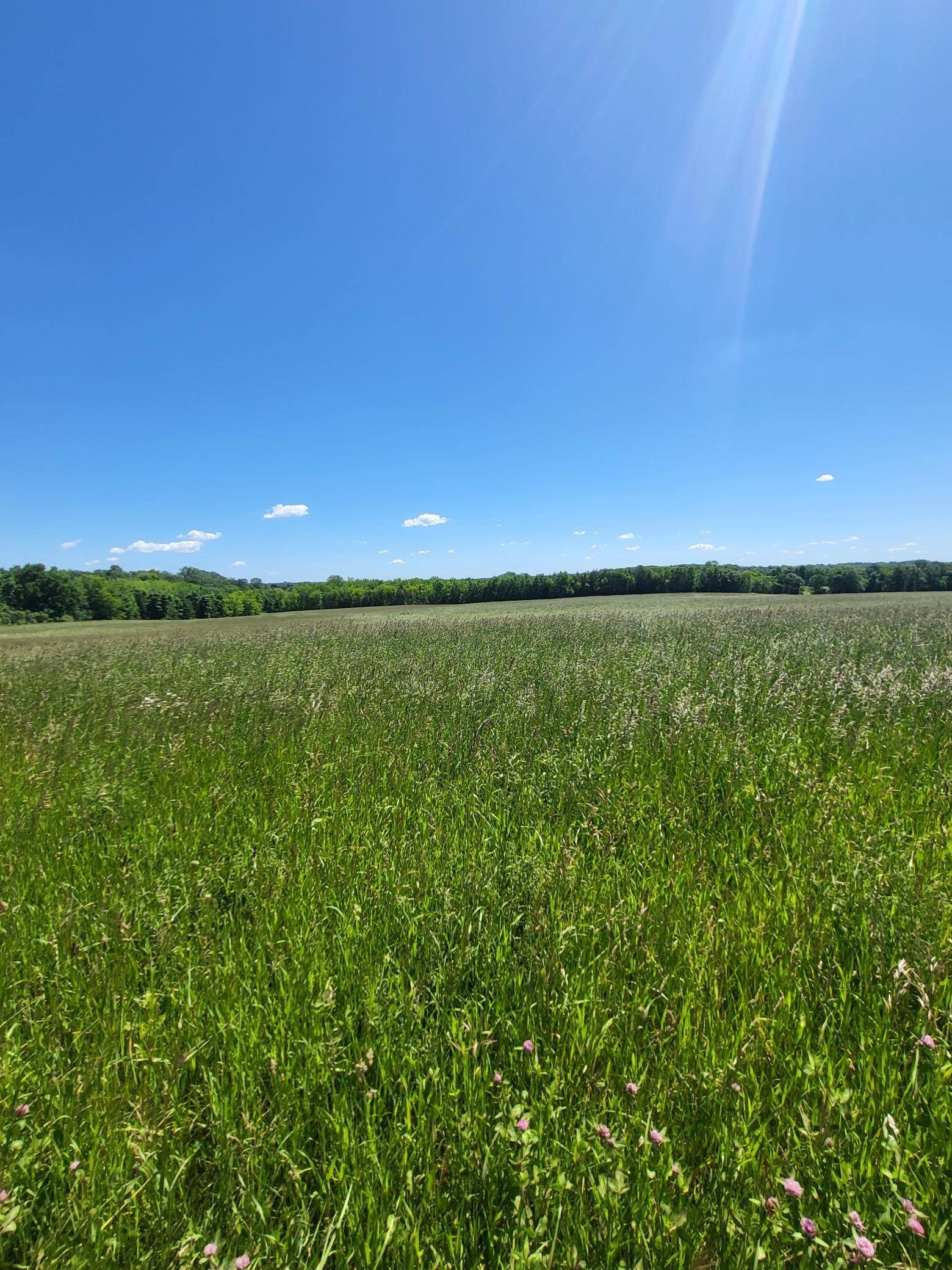 Independence, MN 55328,XXX Nelson RD