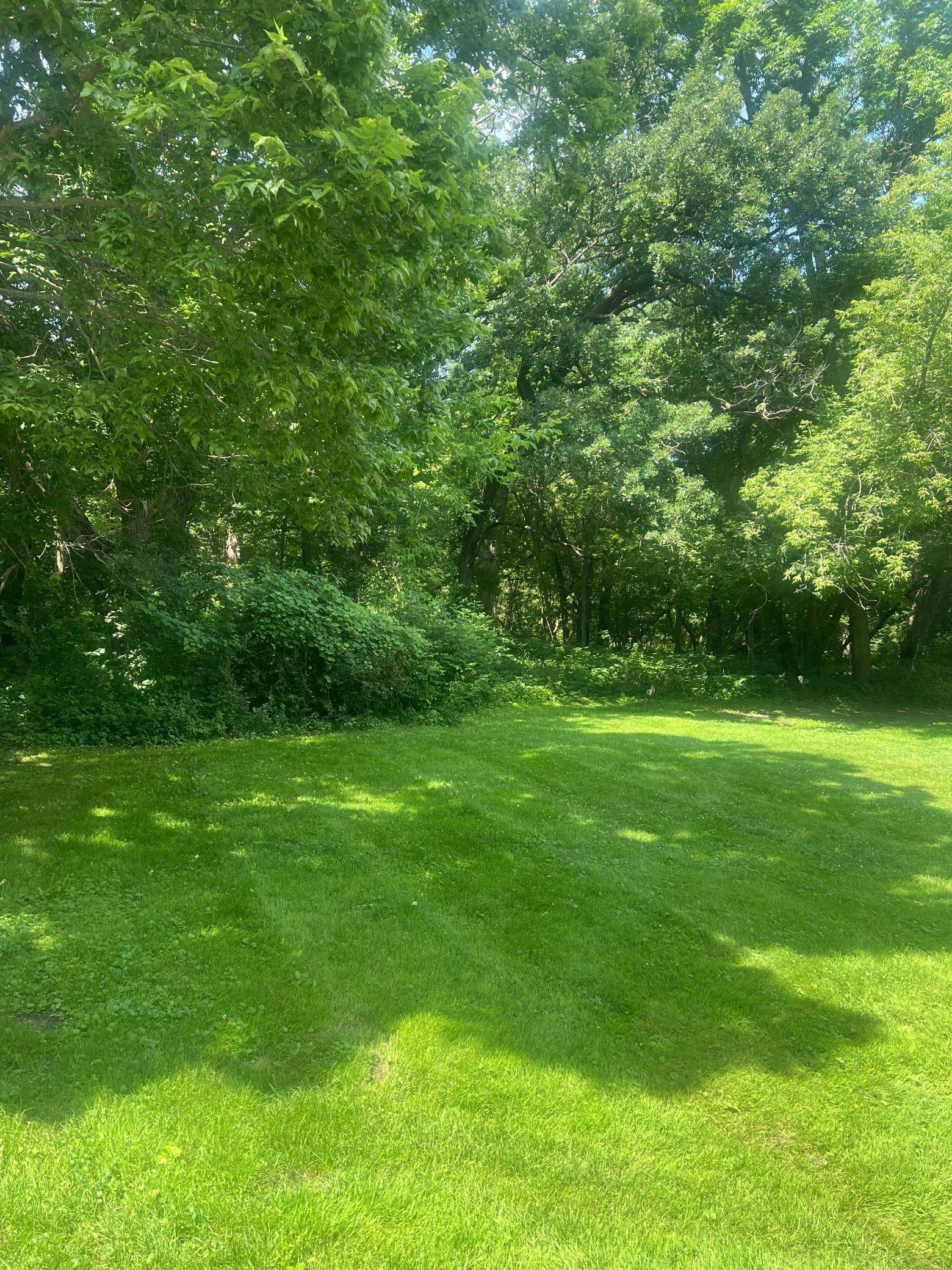 Glenwood, MN 56334,TBD Lot 1 Envelope 1 Baycrest RD