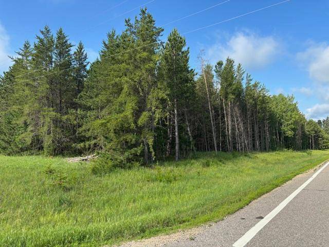 Menahga, MN 56464,TBD 380th St