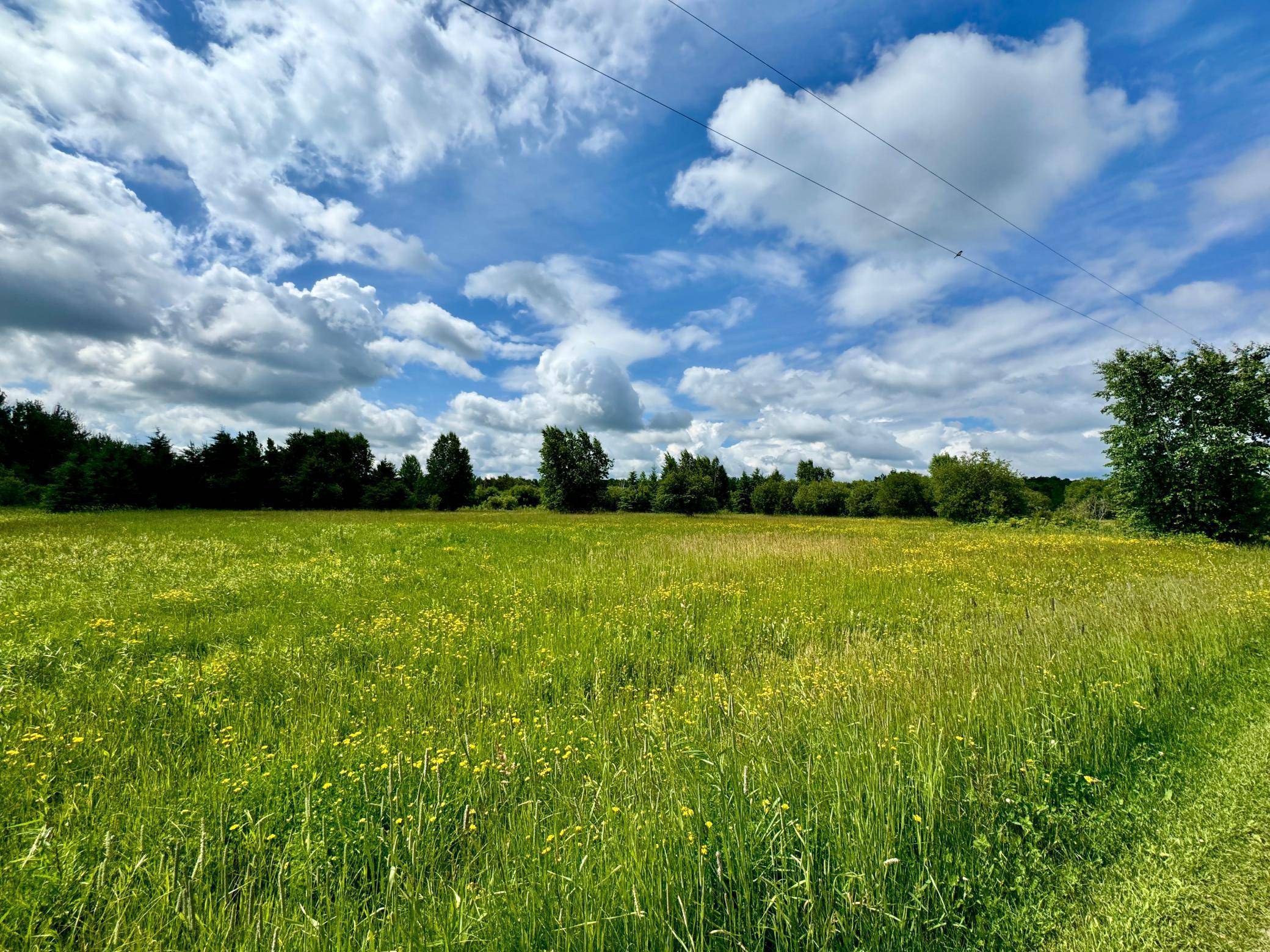 Warroad, MN 56763,TBD 580th AVE