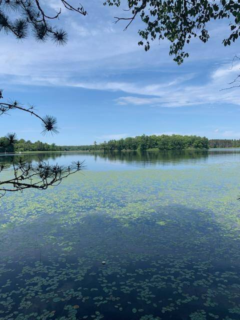 Deerwood Twp, MN 56444,TBD Taylor RD