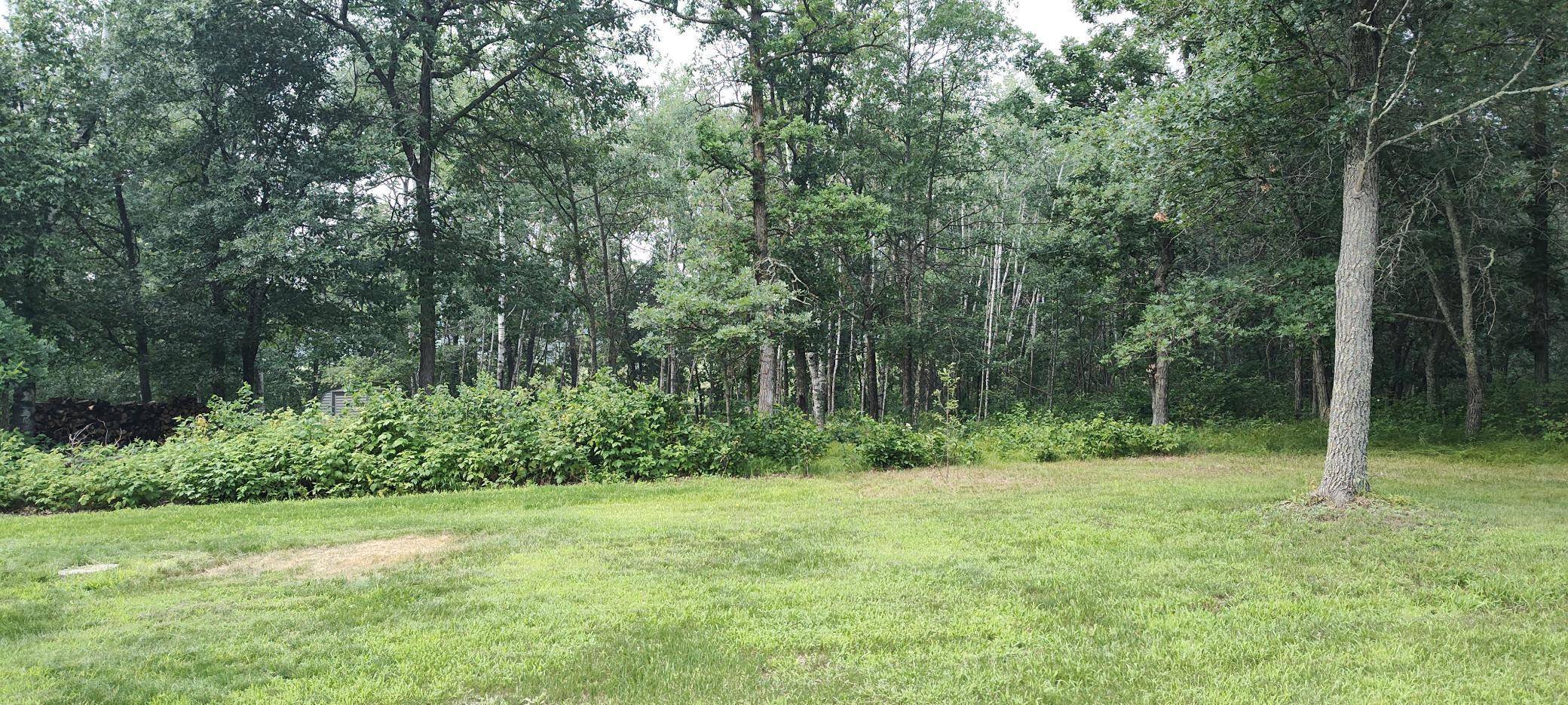 Menahga, MN 56464,TBD E Blueberry River DR