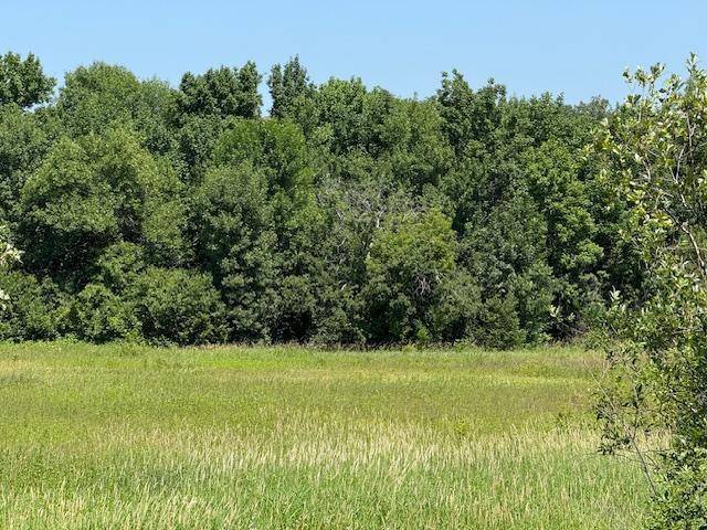 Motley Twp, MN 56466,tbd Azalea RD