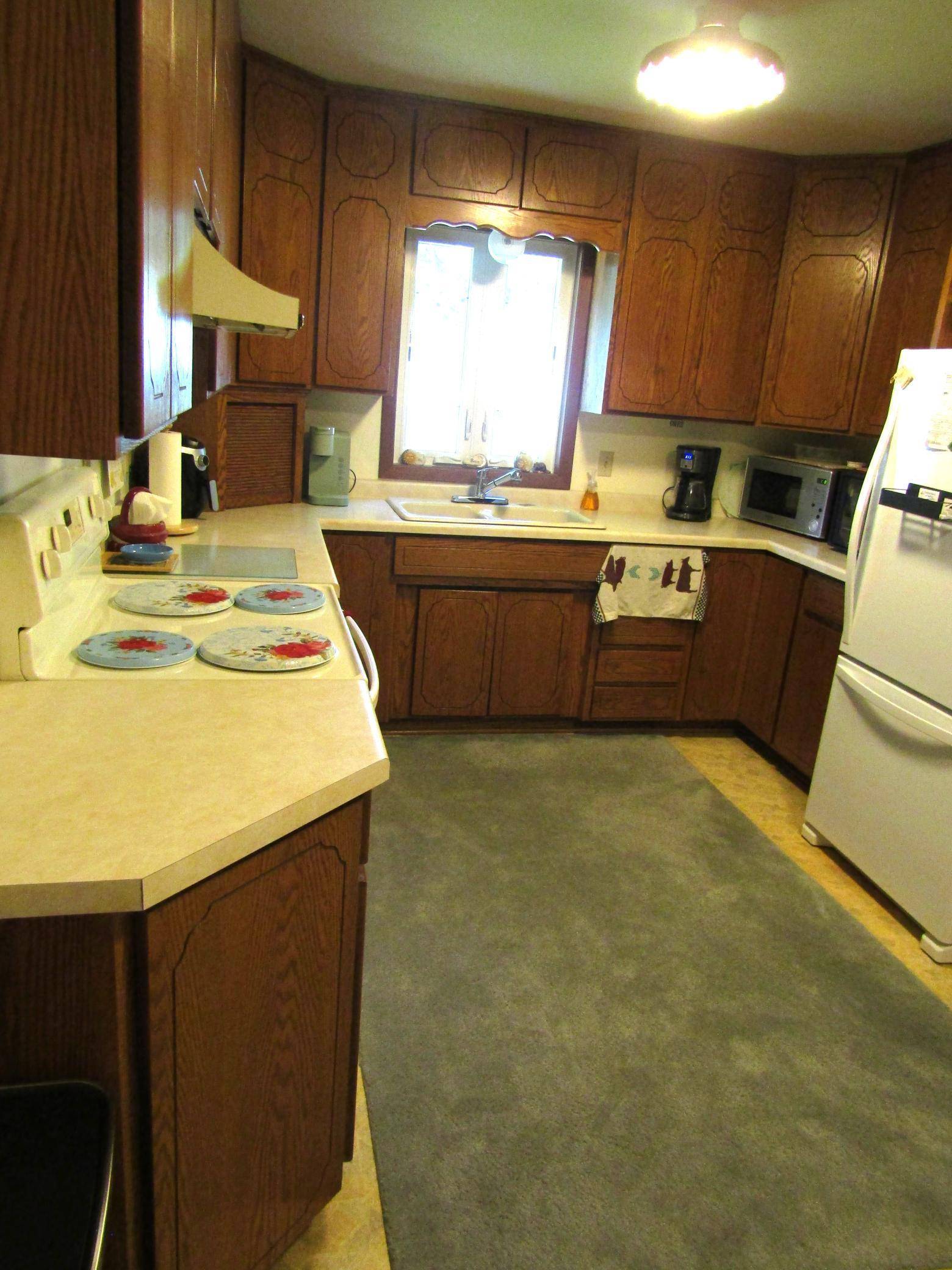 Appleton, MN 56208,231 E Sorenson AVE