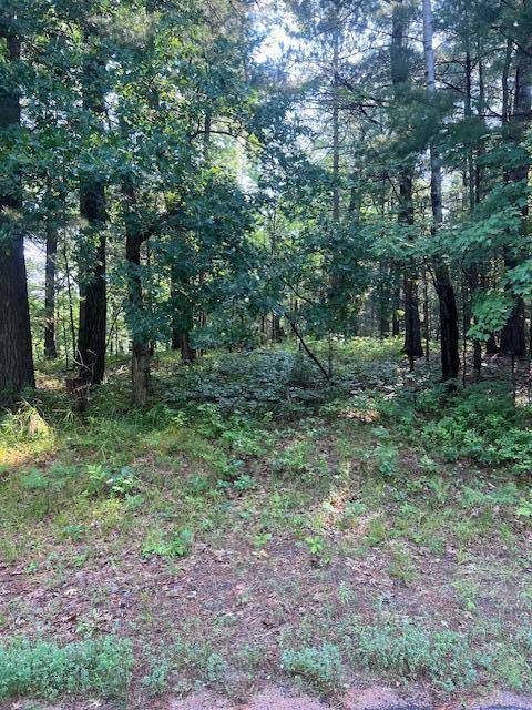 Danbury, WI 54830,Lot 91 Three Mile RD